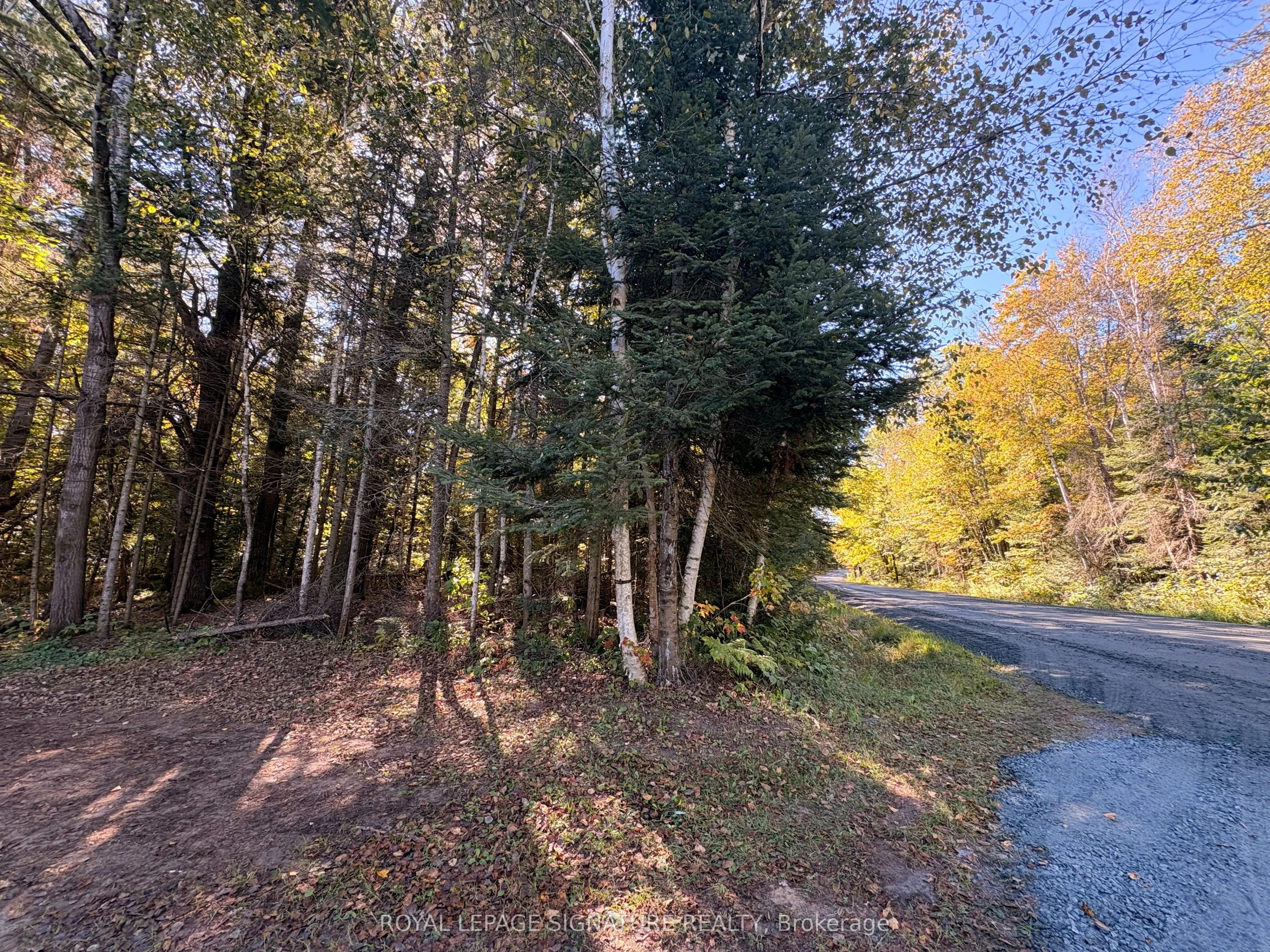 63 Bunny Trail
