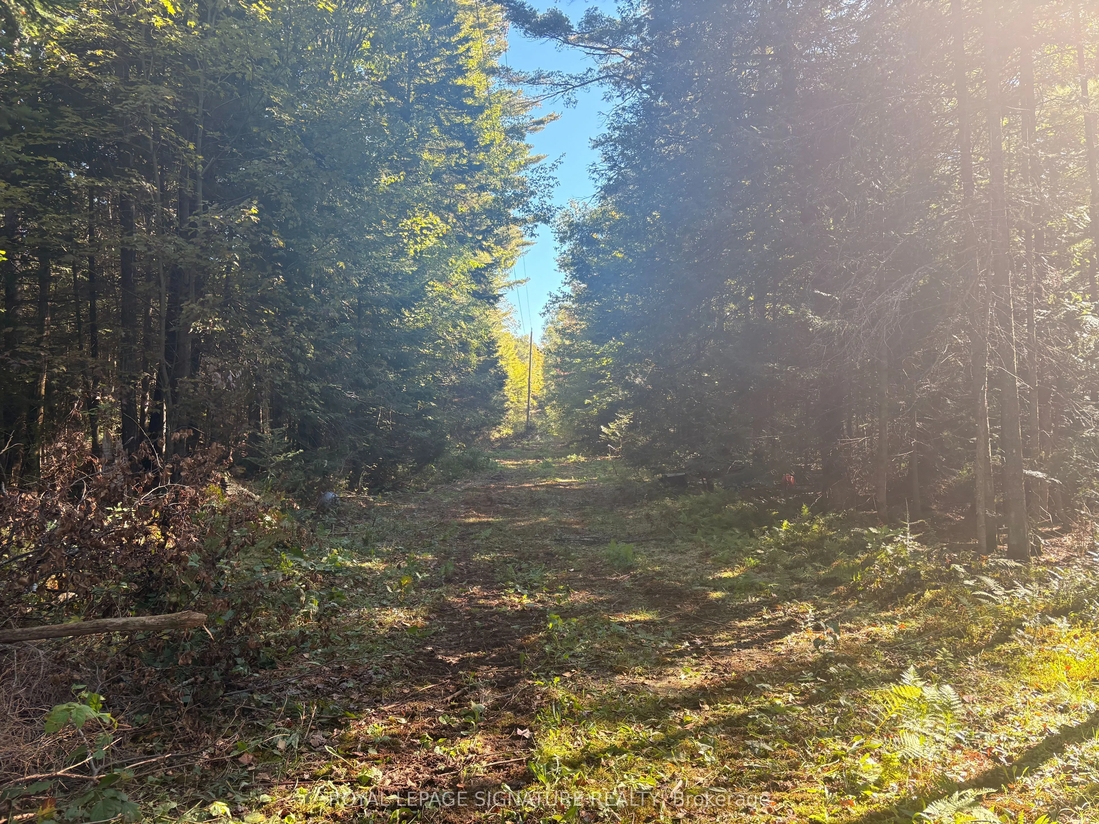 63 Bunny Trail