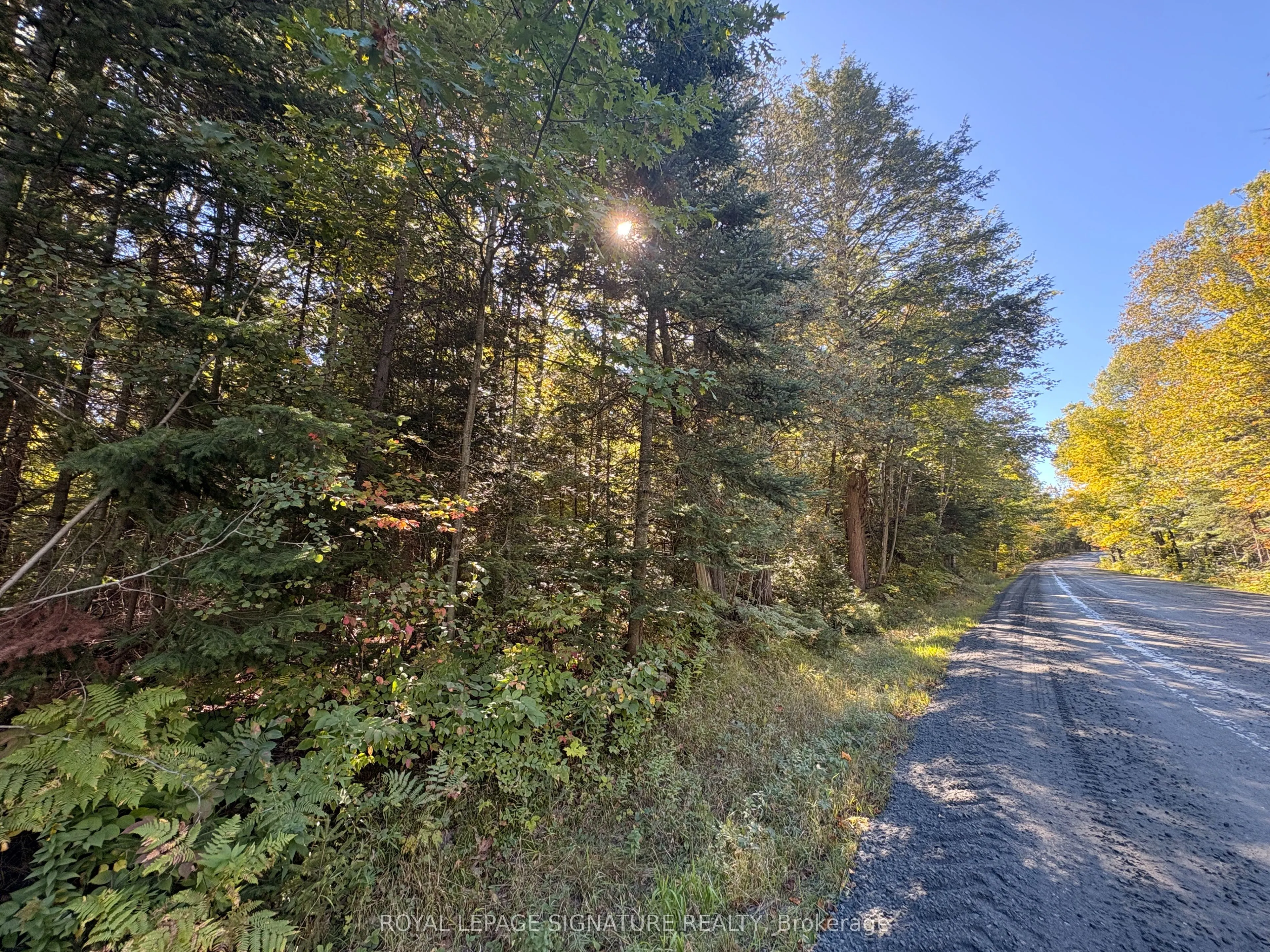63 Bunny Trail