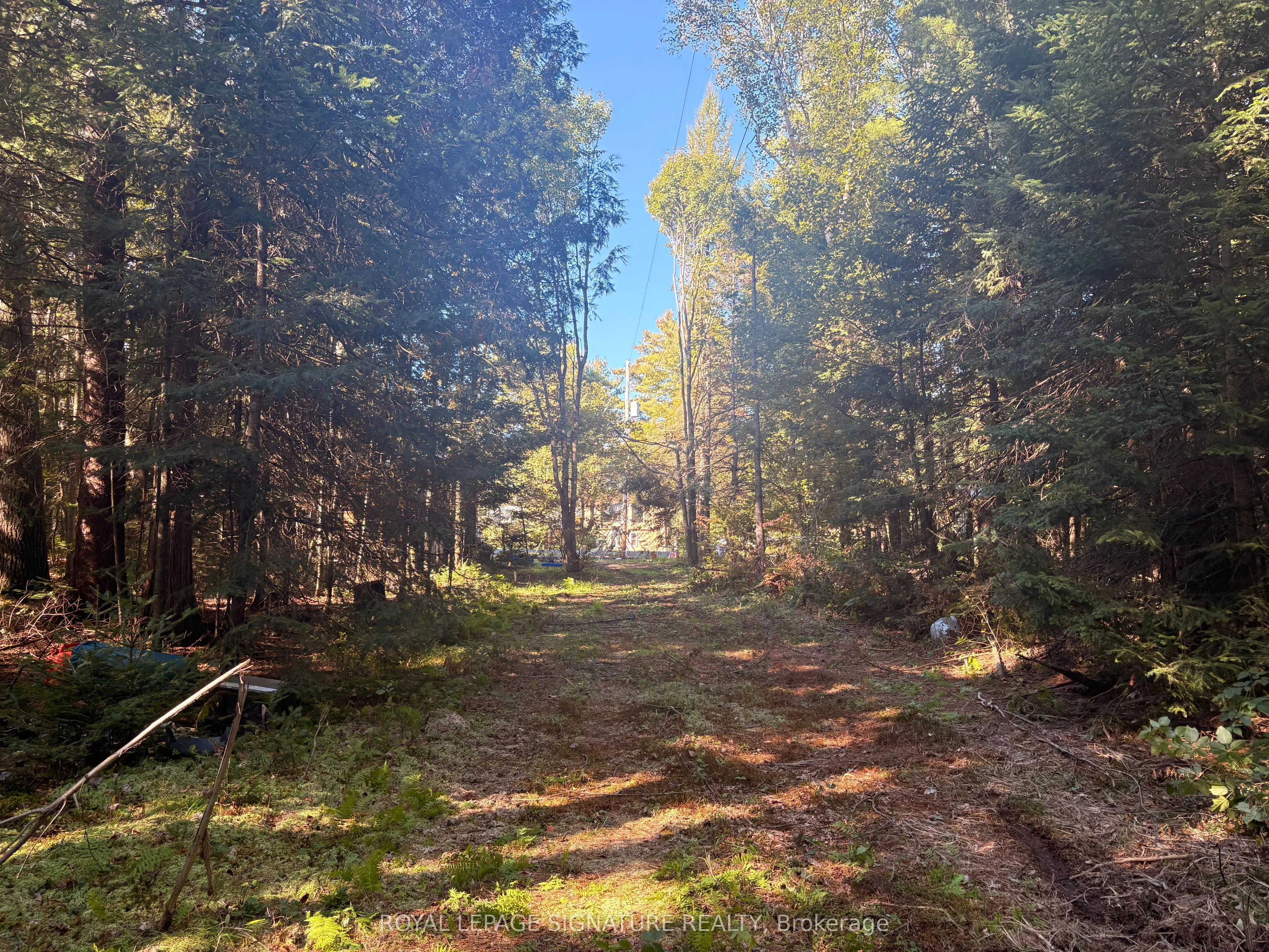 63 Bunny Trail