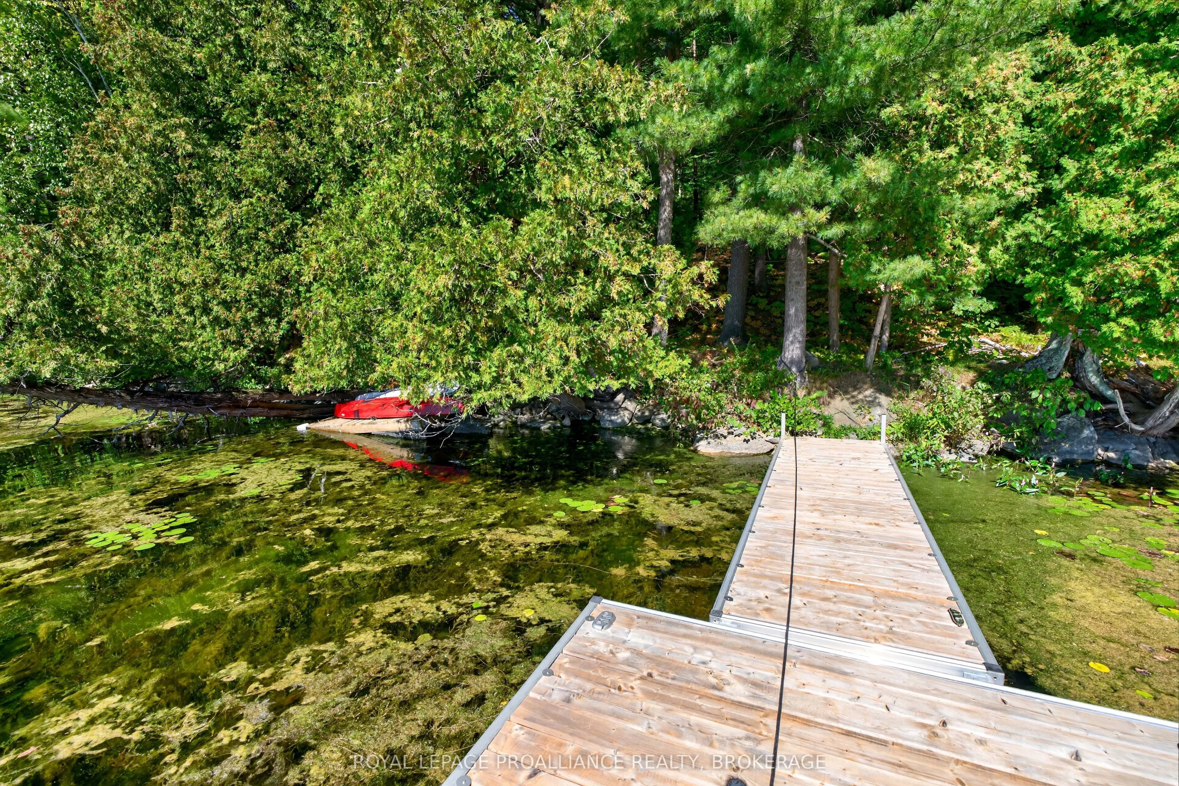 1057 Forest Lane