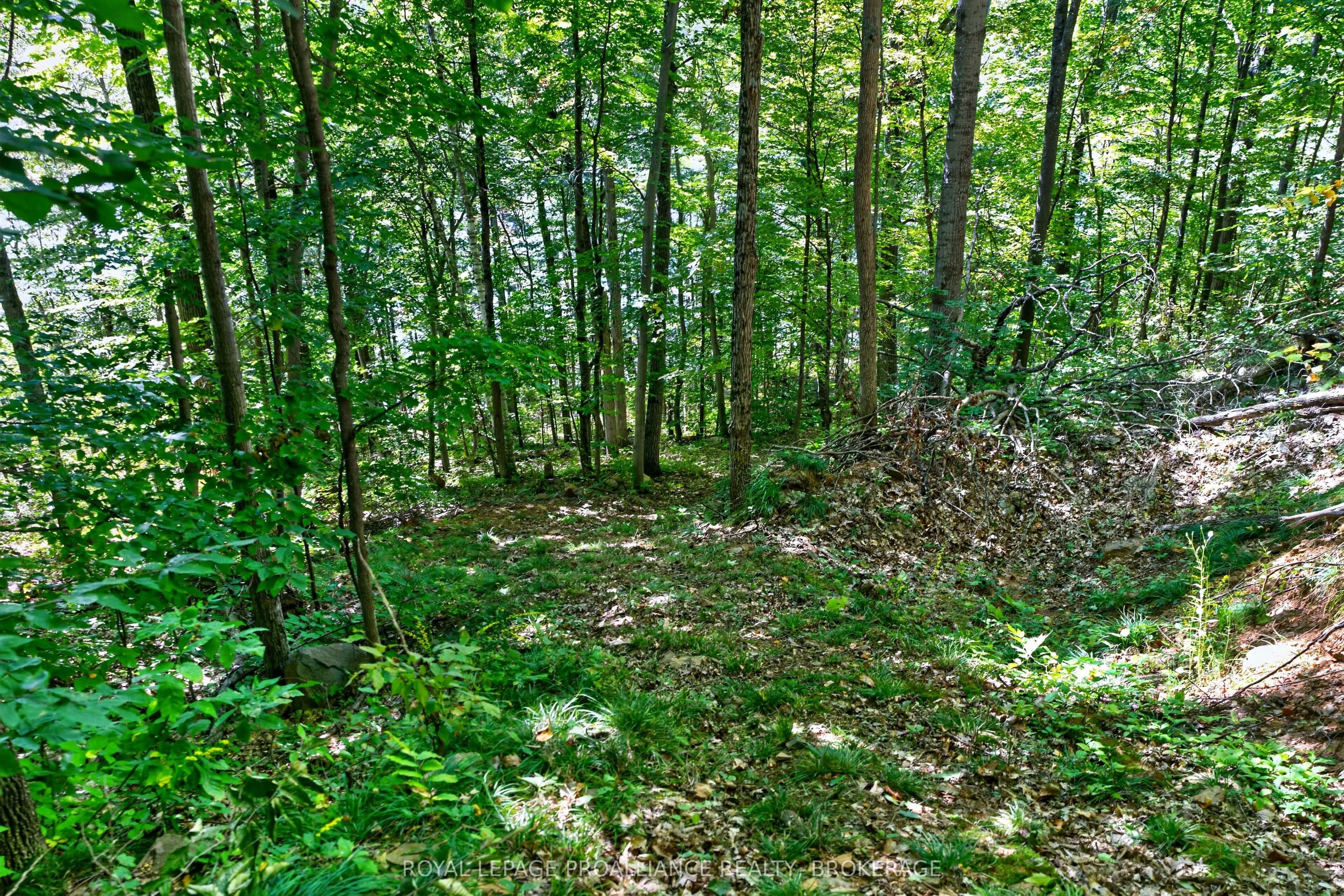 1057 Forest Lane