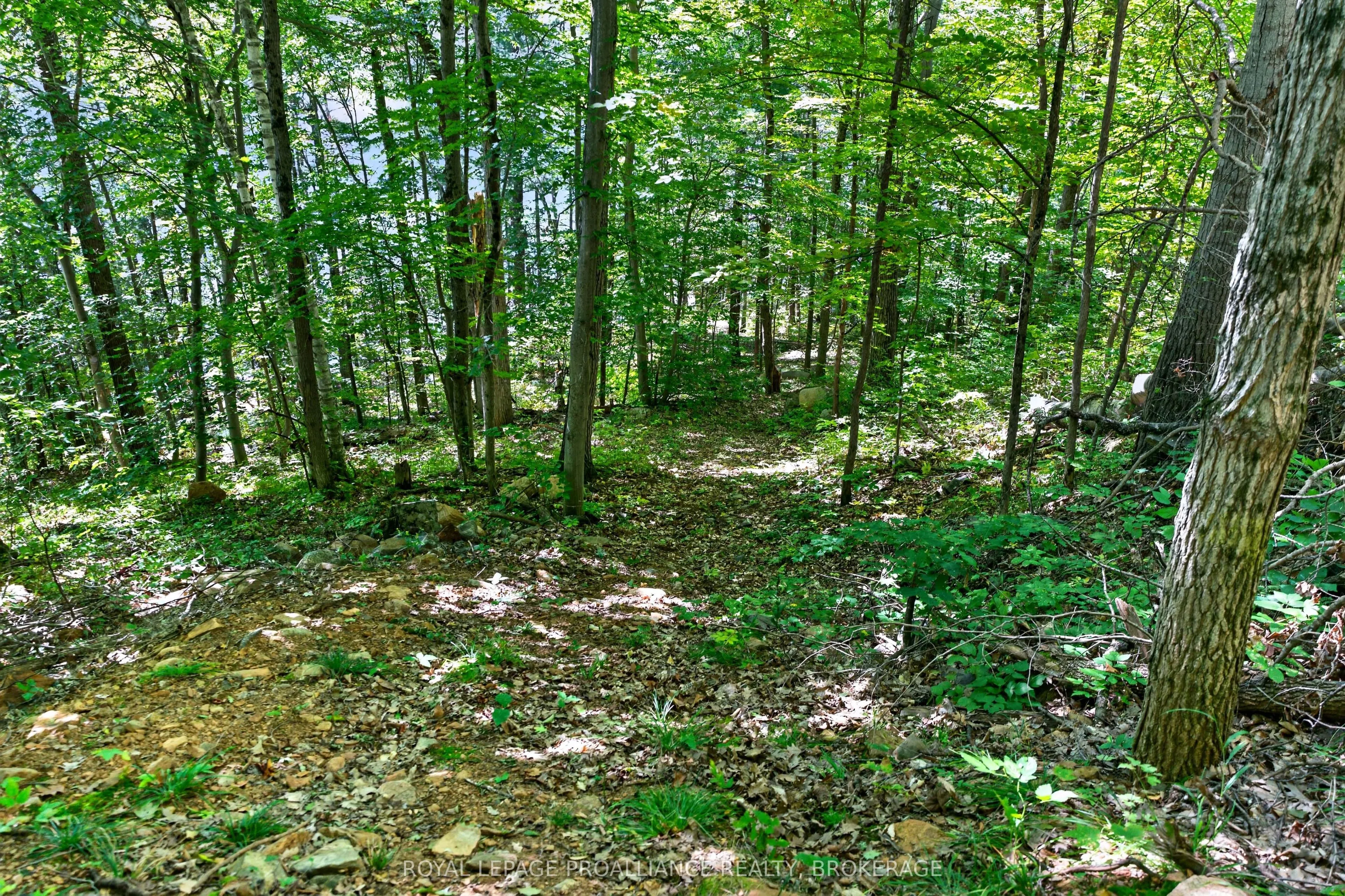 1057 Forest Lane