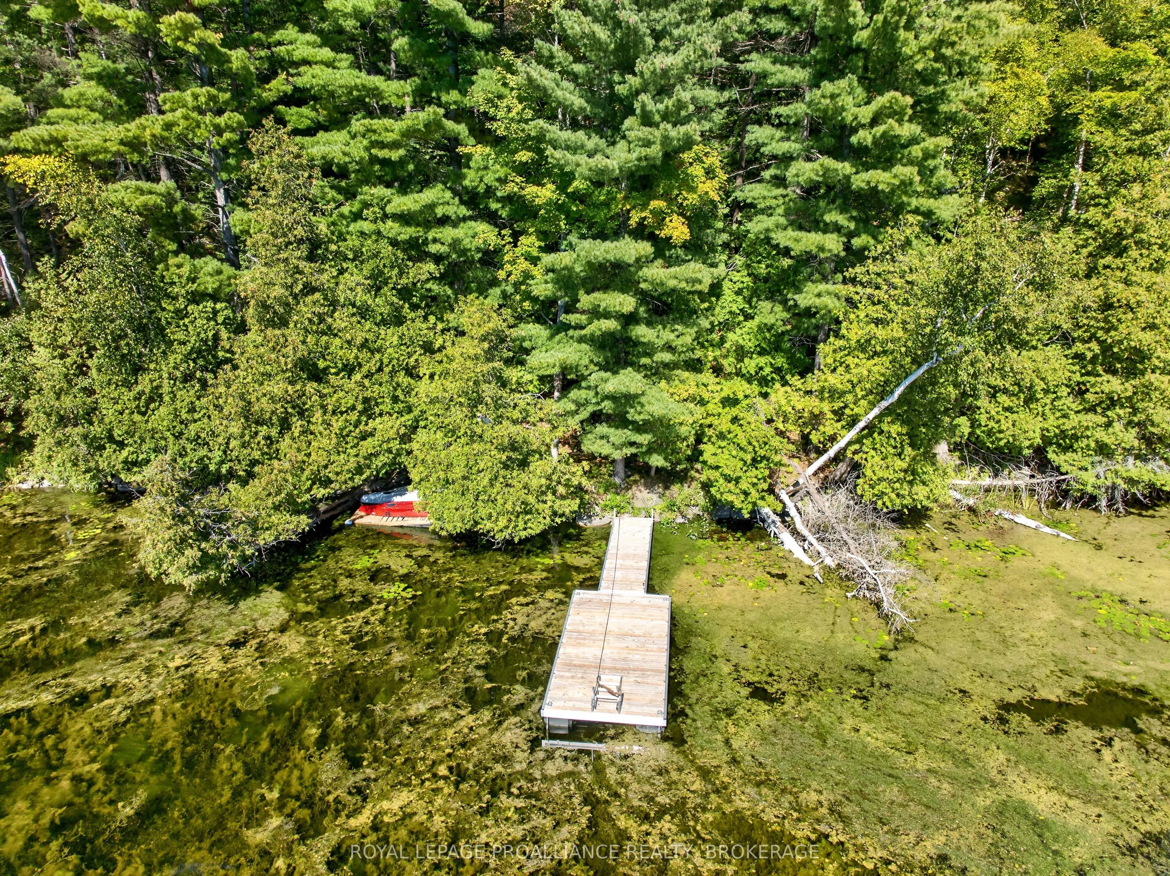 1057 Forest Lane