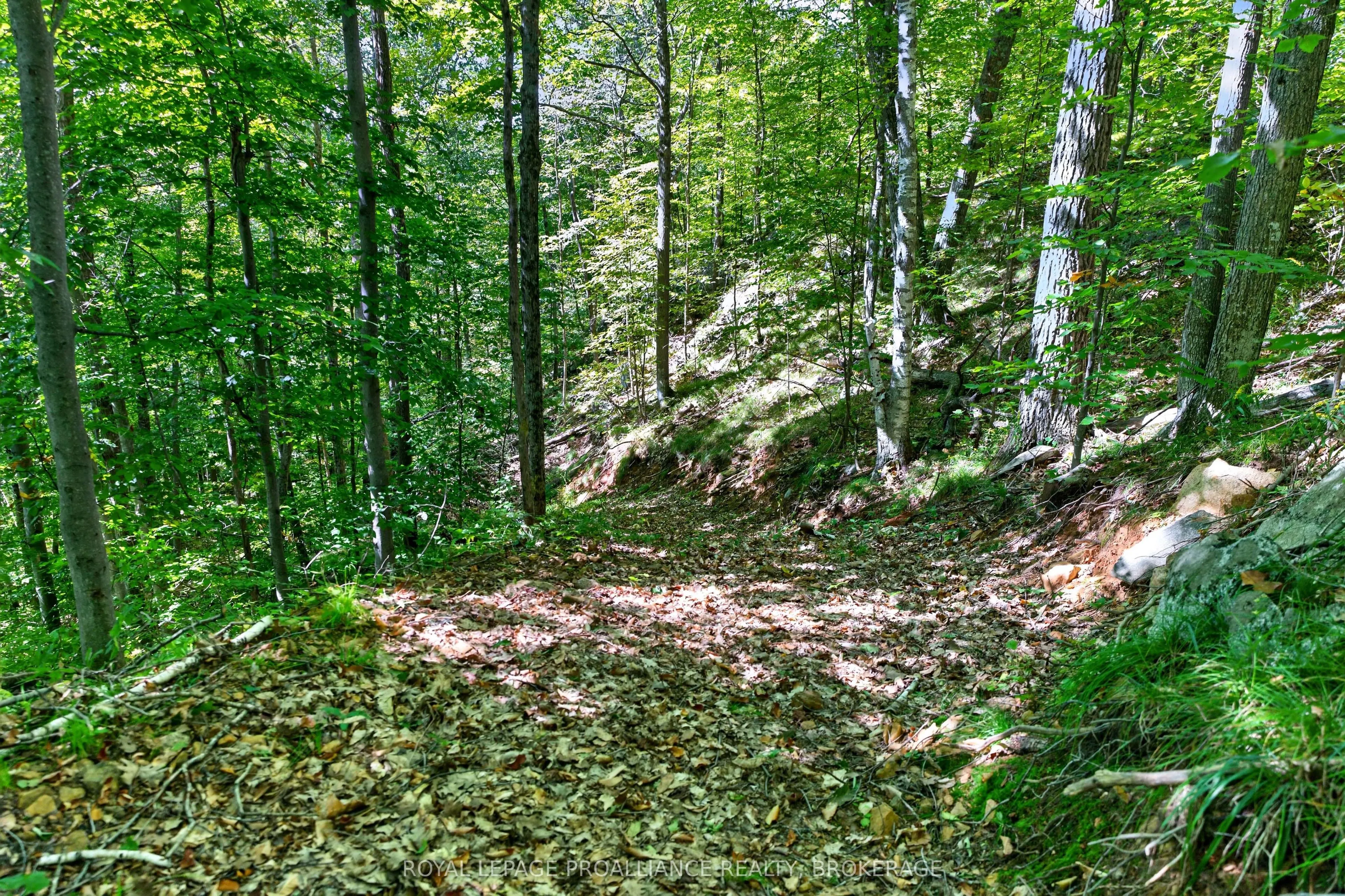 1057 Forest Lane