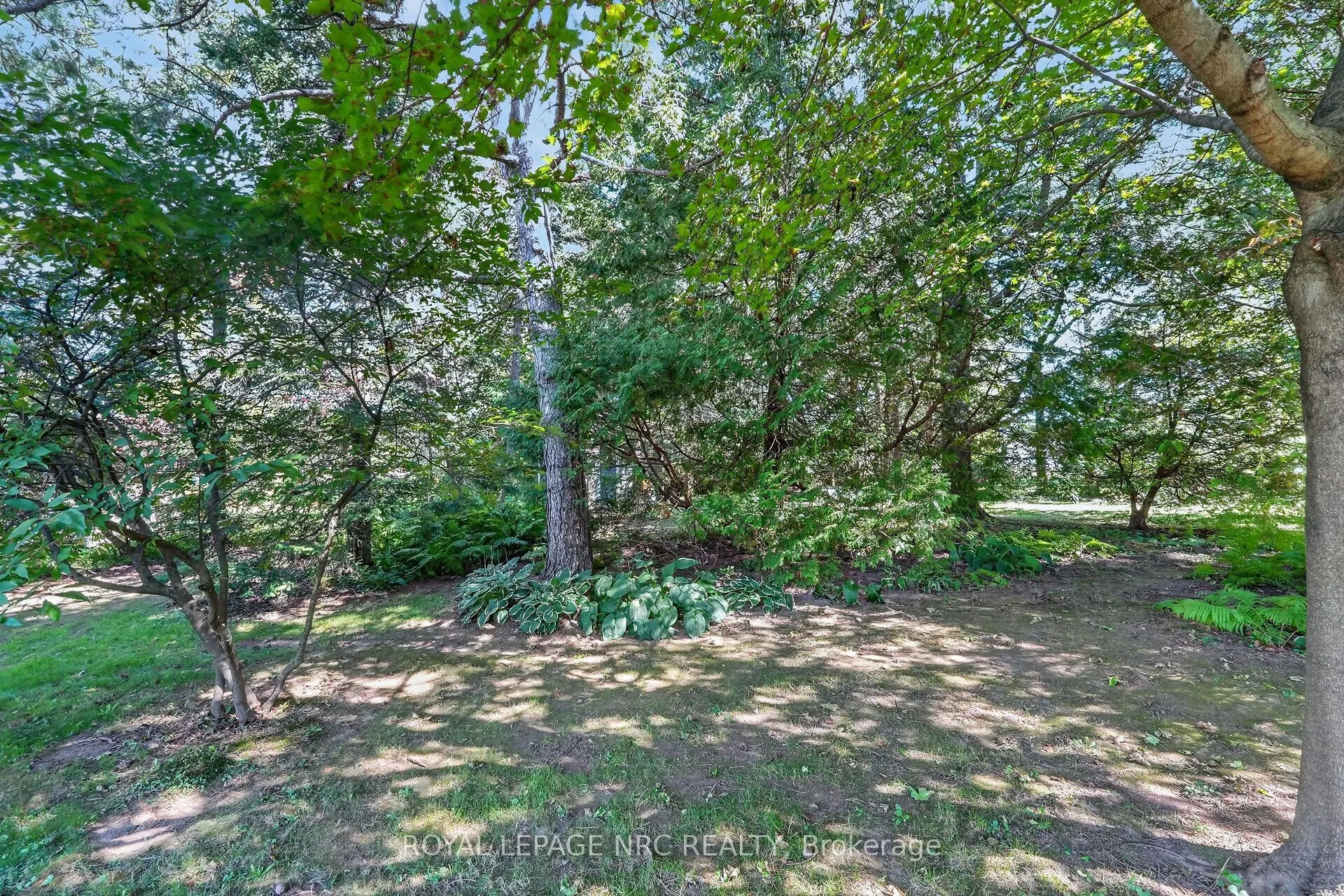 22 Crerar Avenue