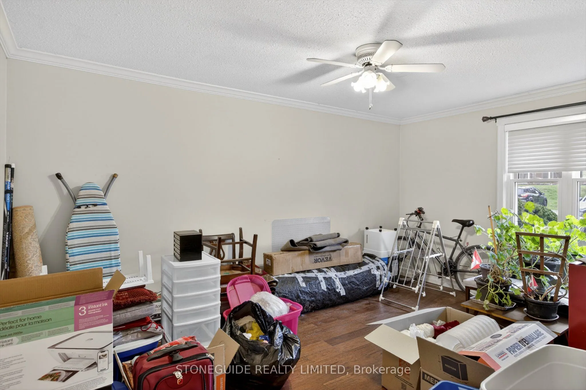 21 Paddock Wood #10