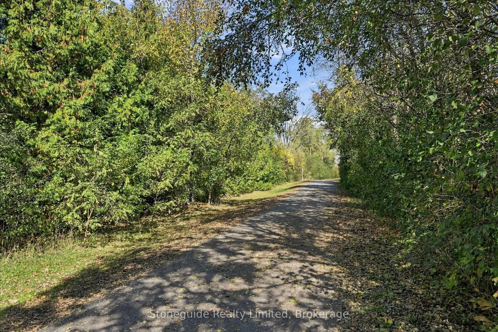 21 Paddock Wood #10
