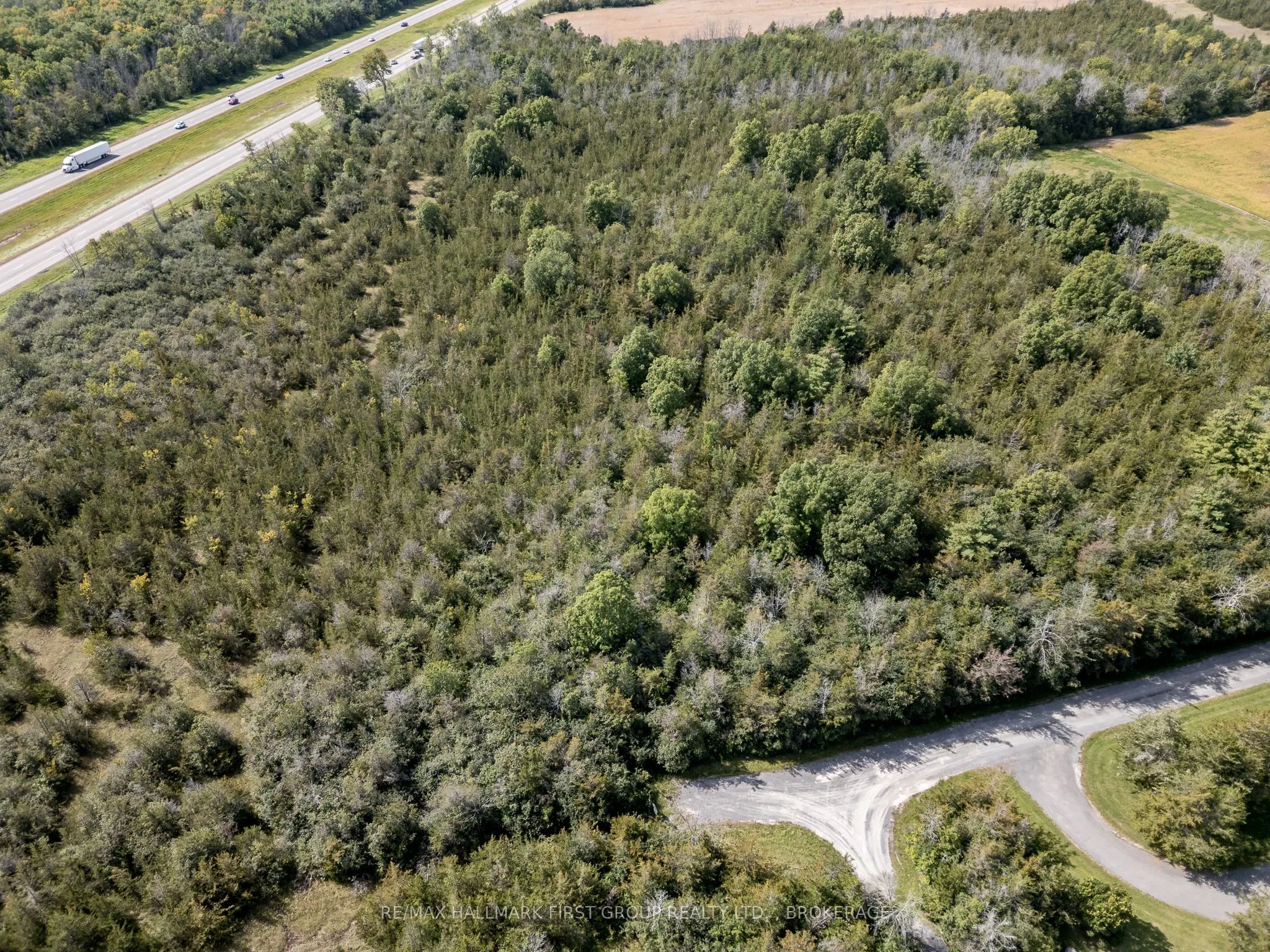 00 Palace Road