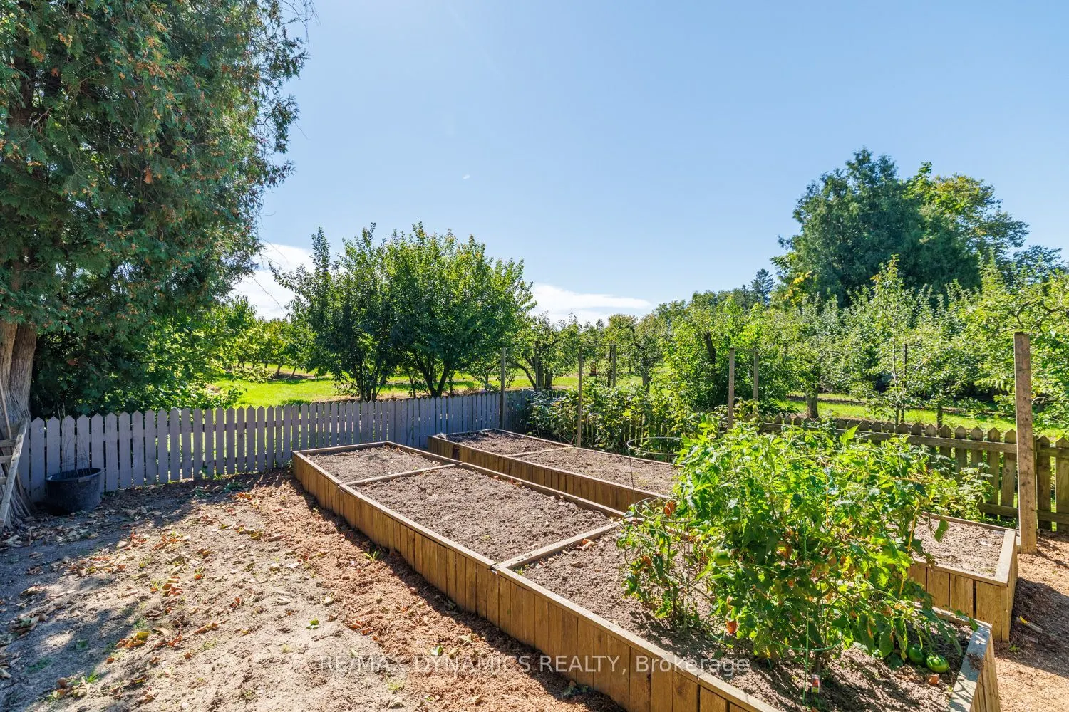 2728 Red Maple Avenue