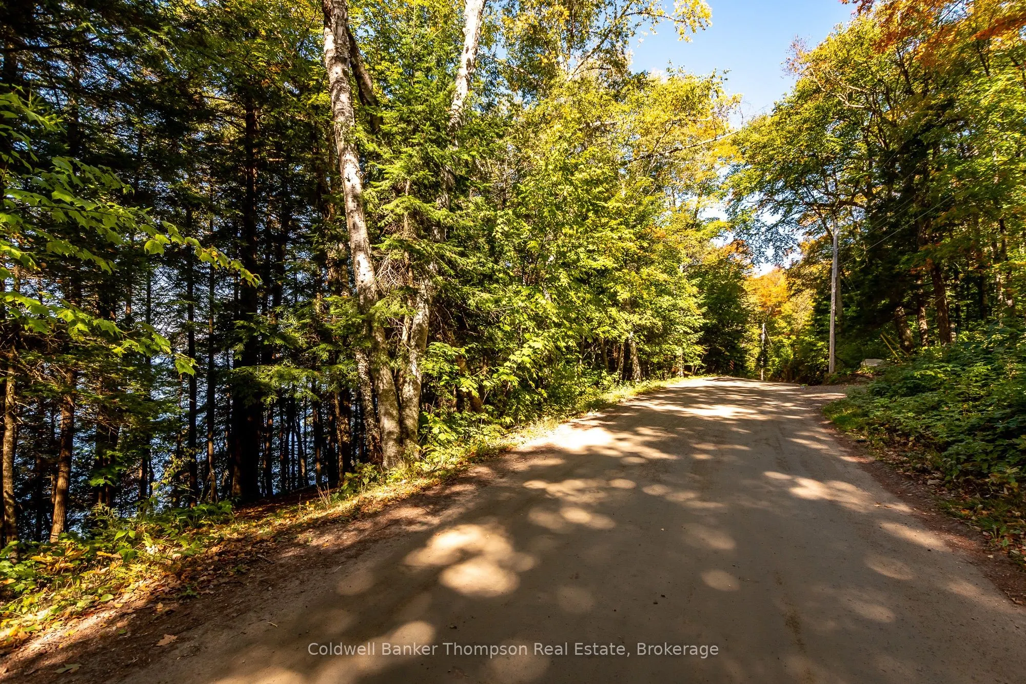 125 Skyline Drive
