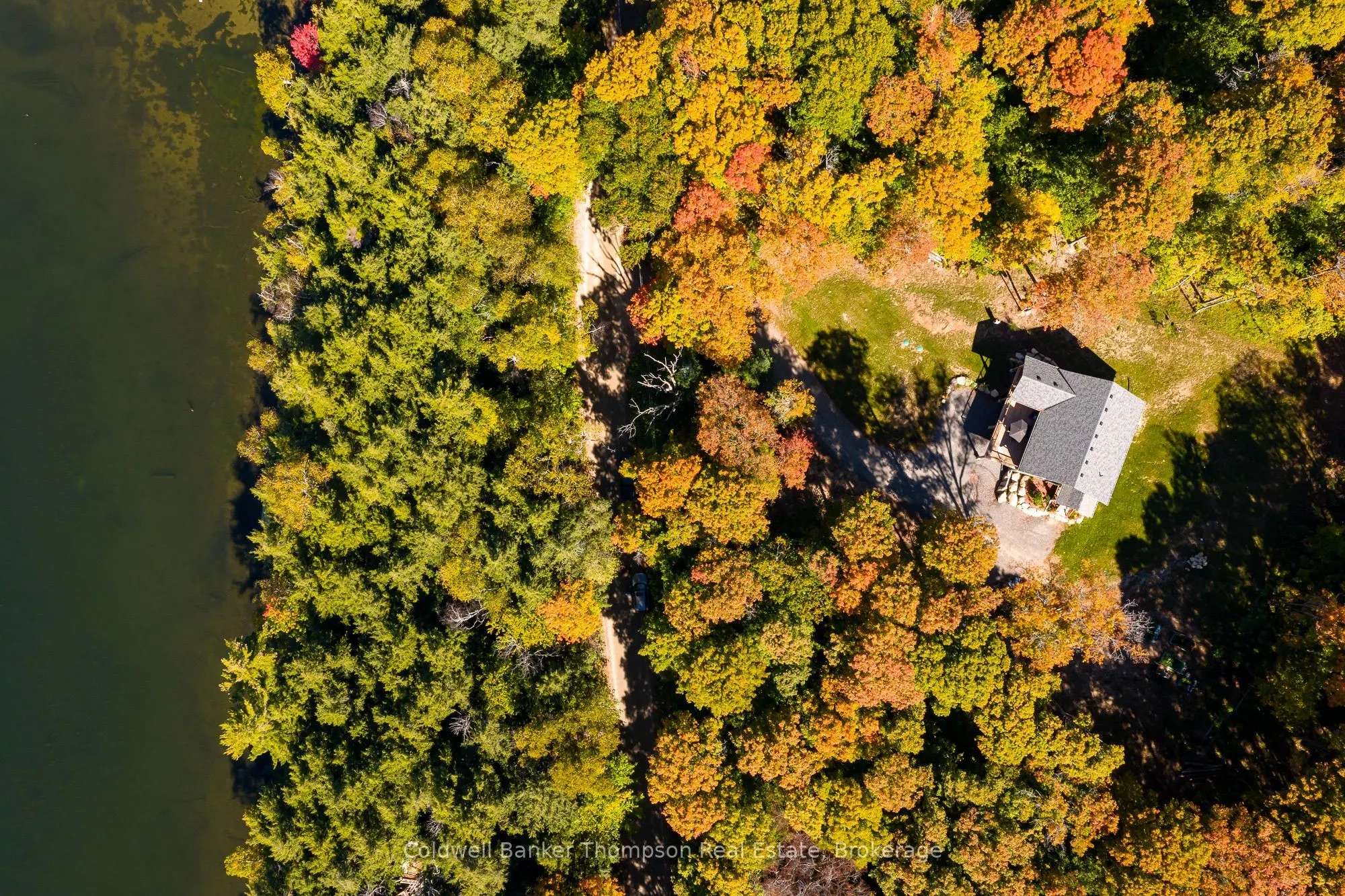 125 Skyline Drive