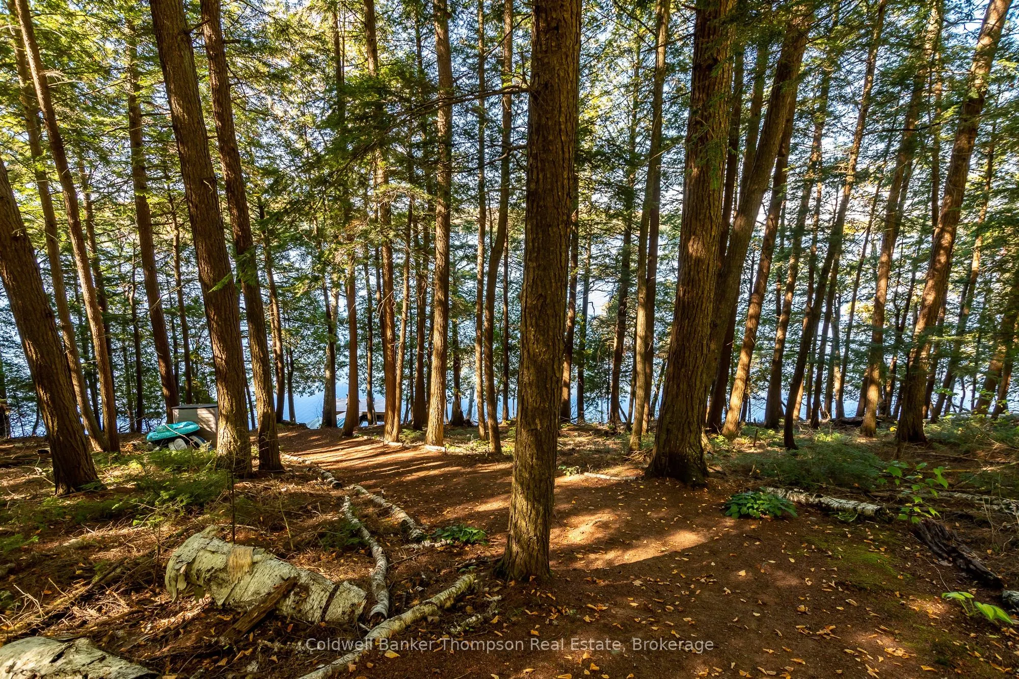 125 Skyline Drive