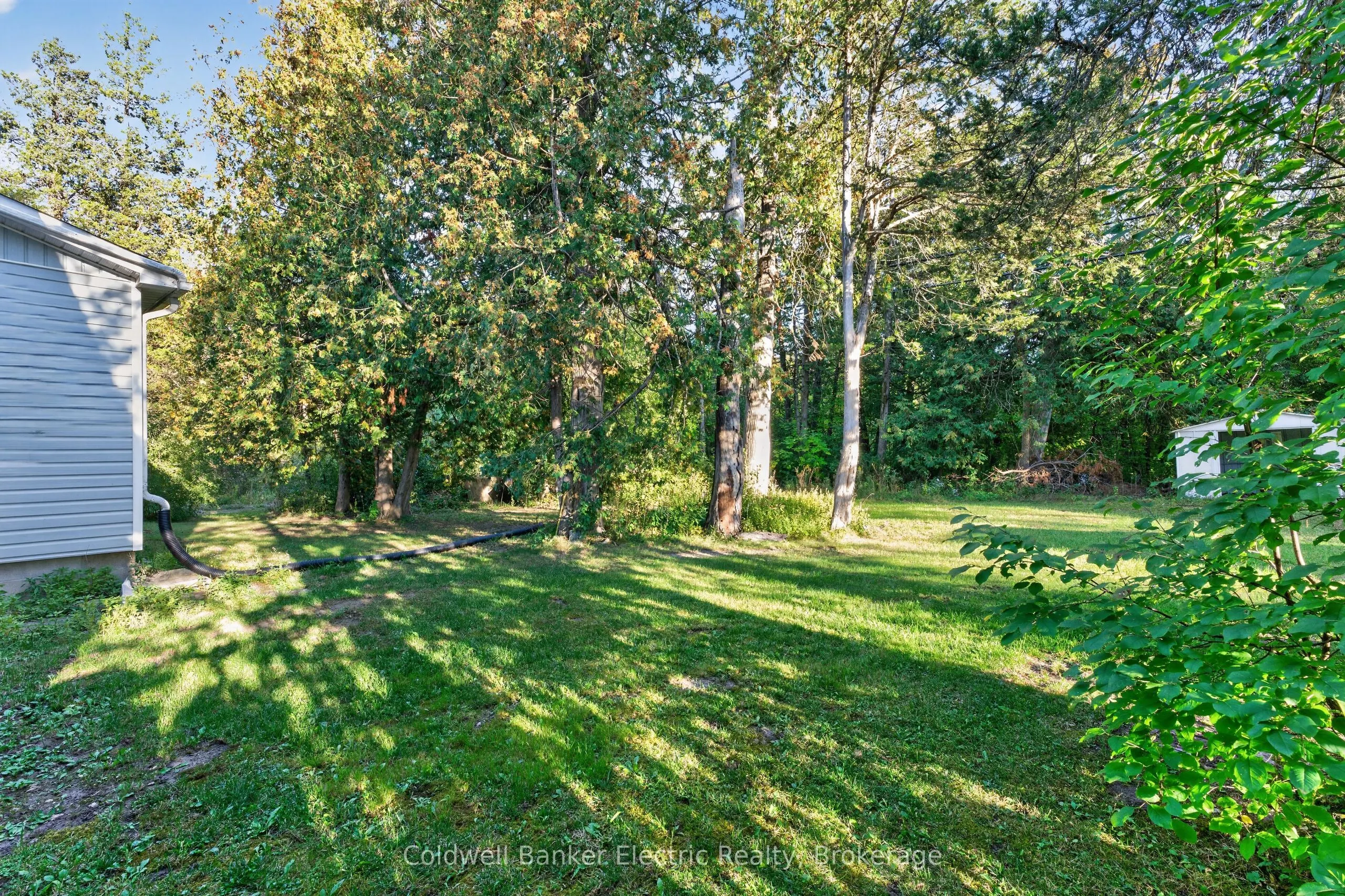 709 County Road 38