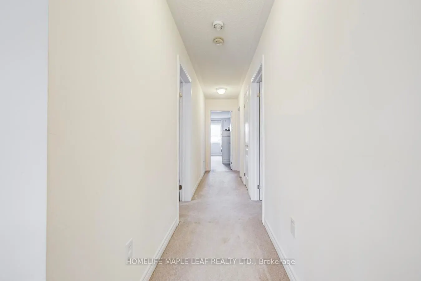 244 Johnson Drive