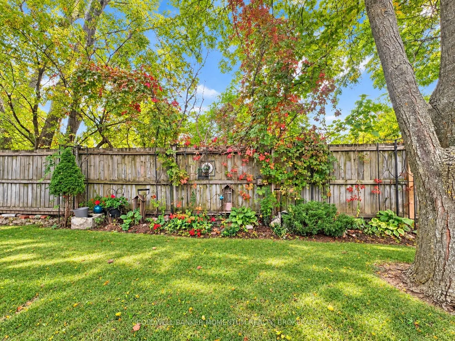 5200 Dorchester Road #11
