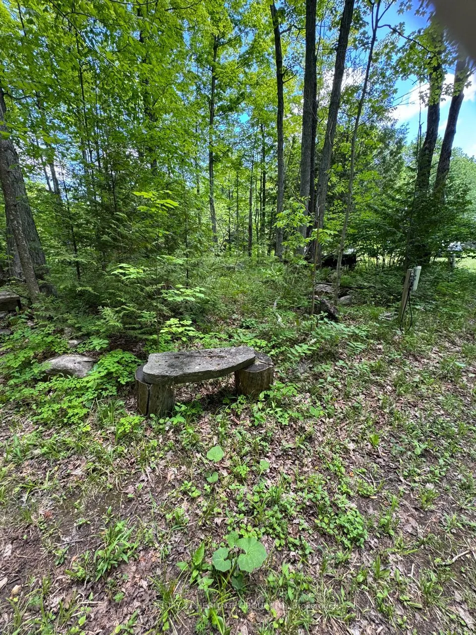 580223 SIDEROAD 60