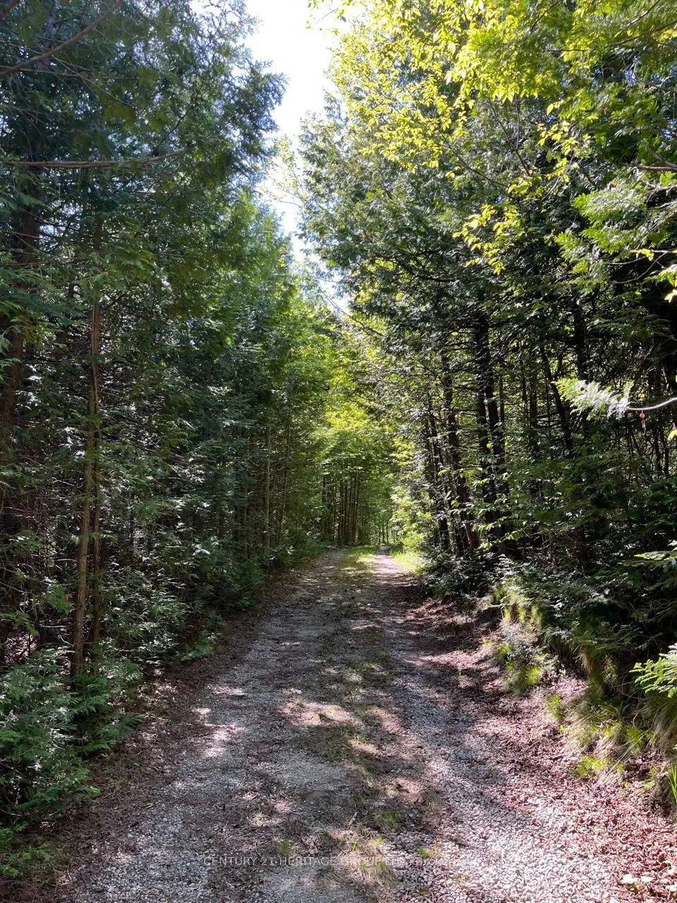 580223 SIDEROAD 60
