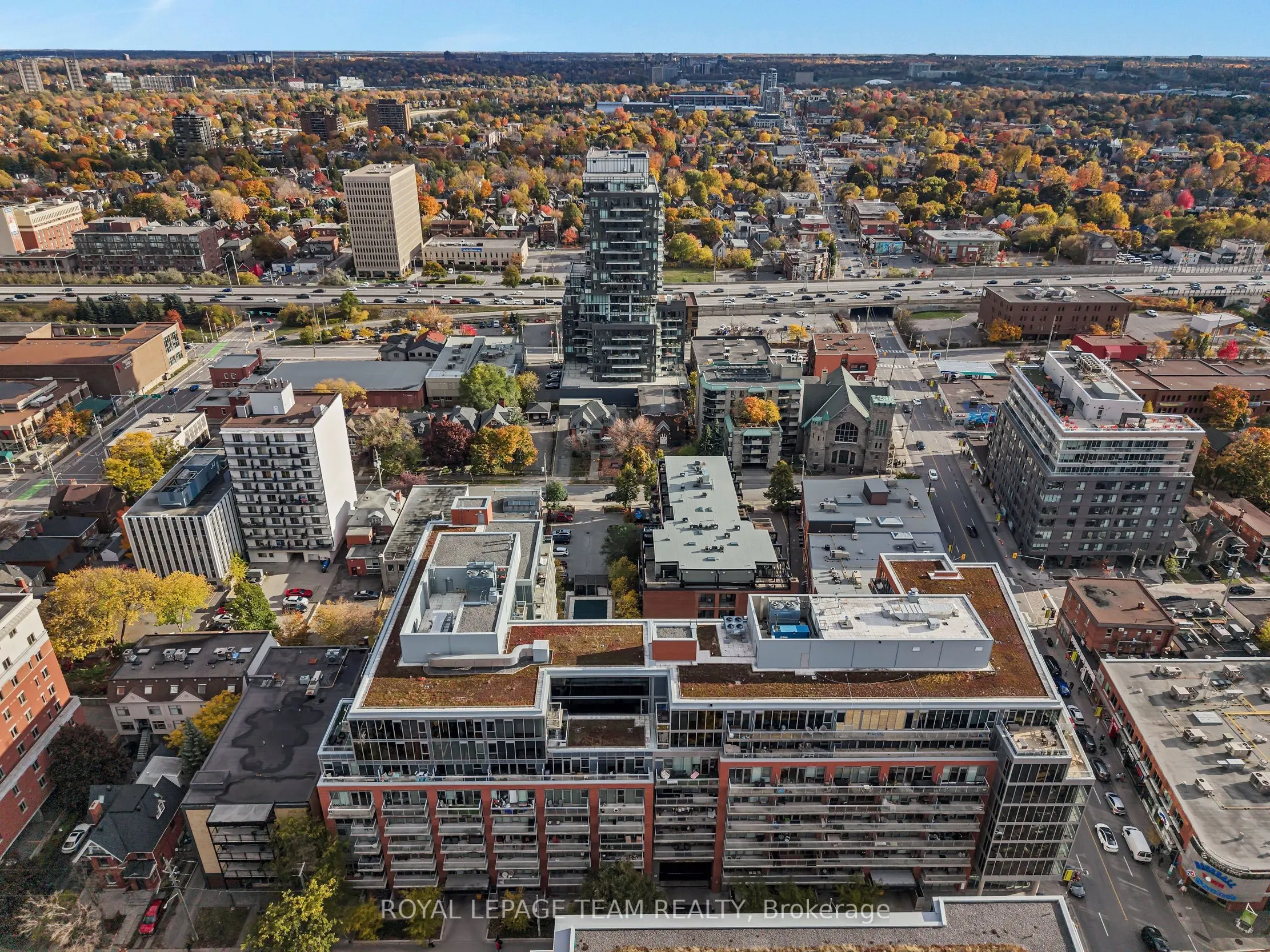 360 Mcleod Street #905