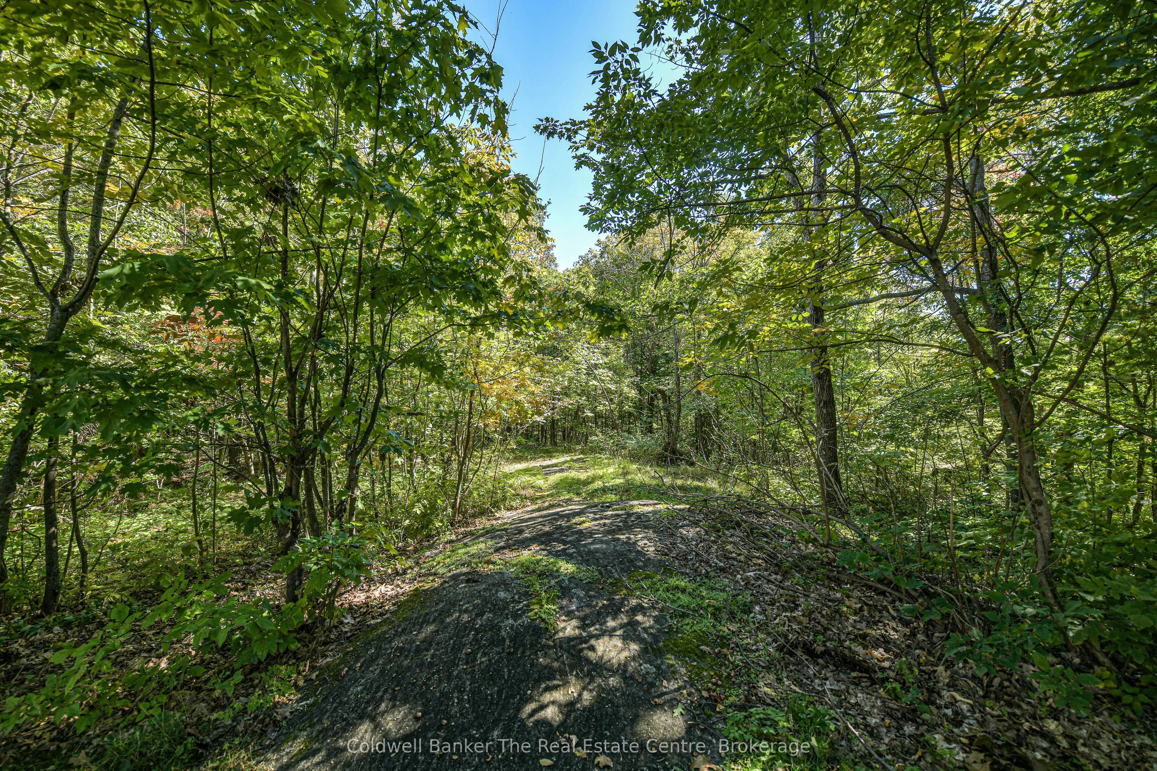 115 Jones Road