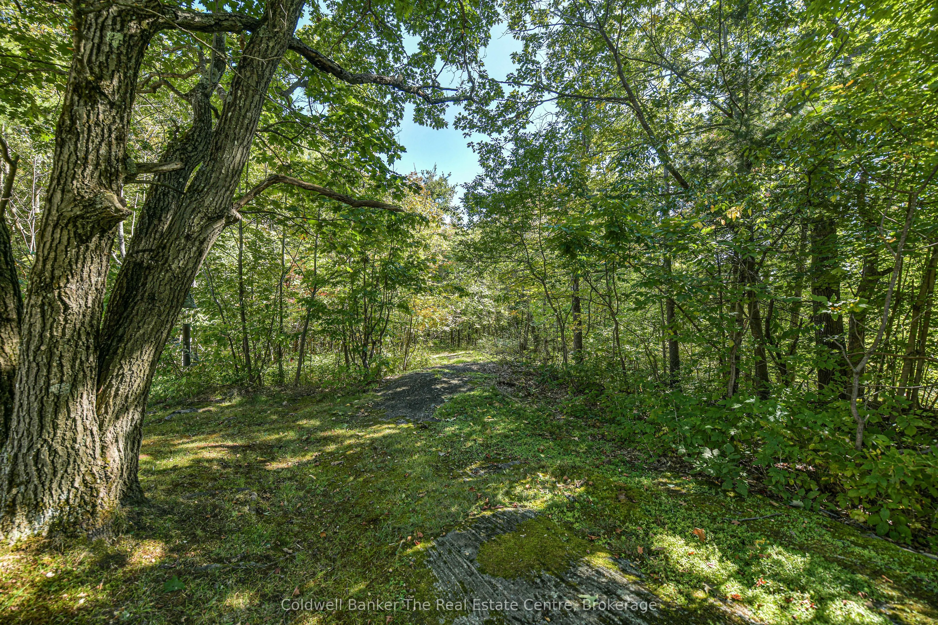 115 Jones Road