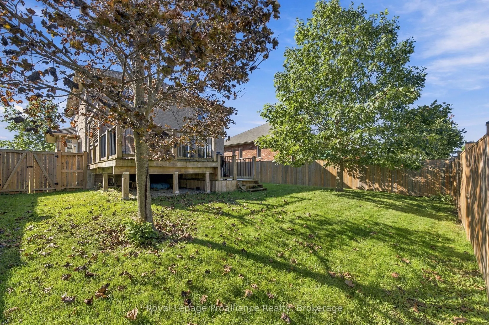 56 Cavendish Drive