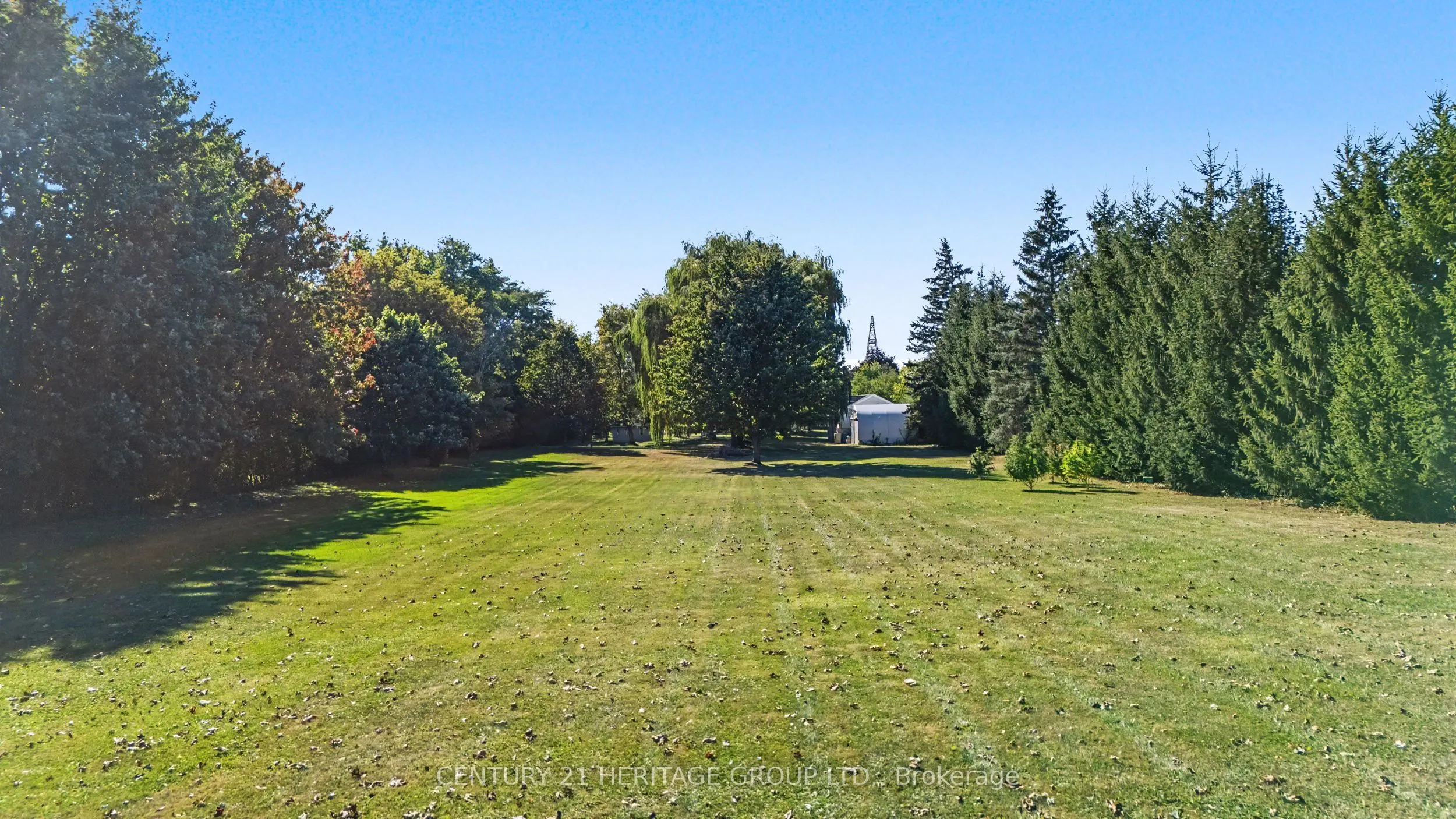 390 Sydenham Road