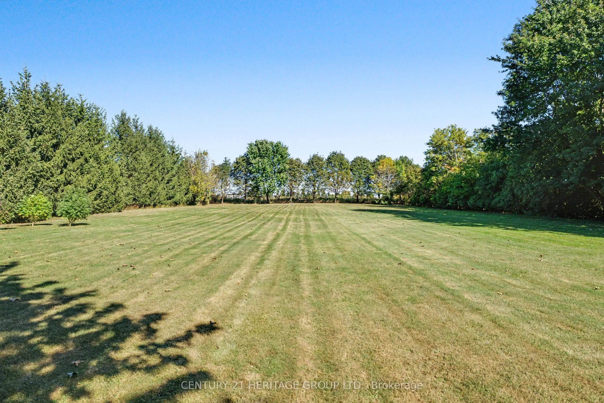 390 Sydenham Road