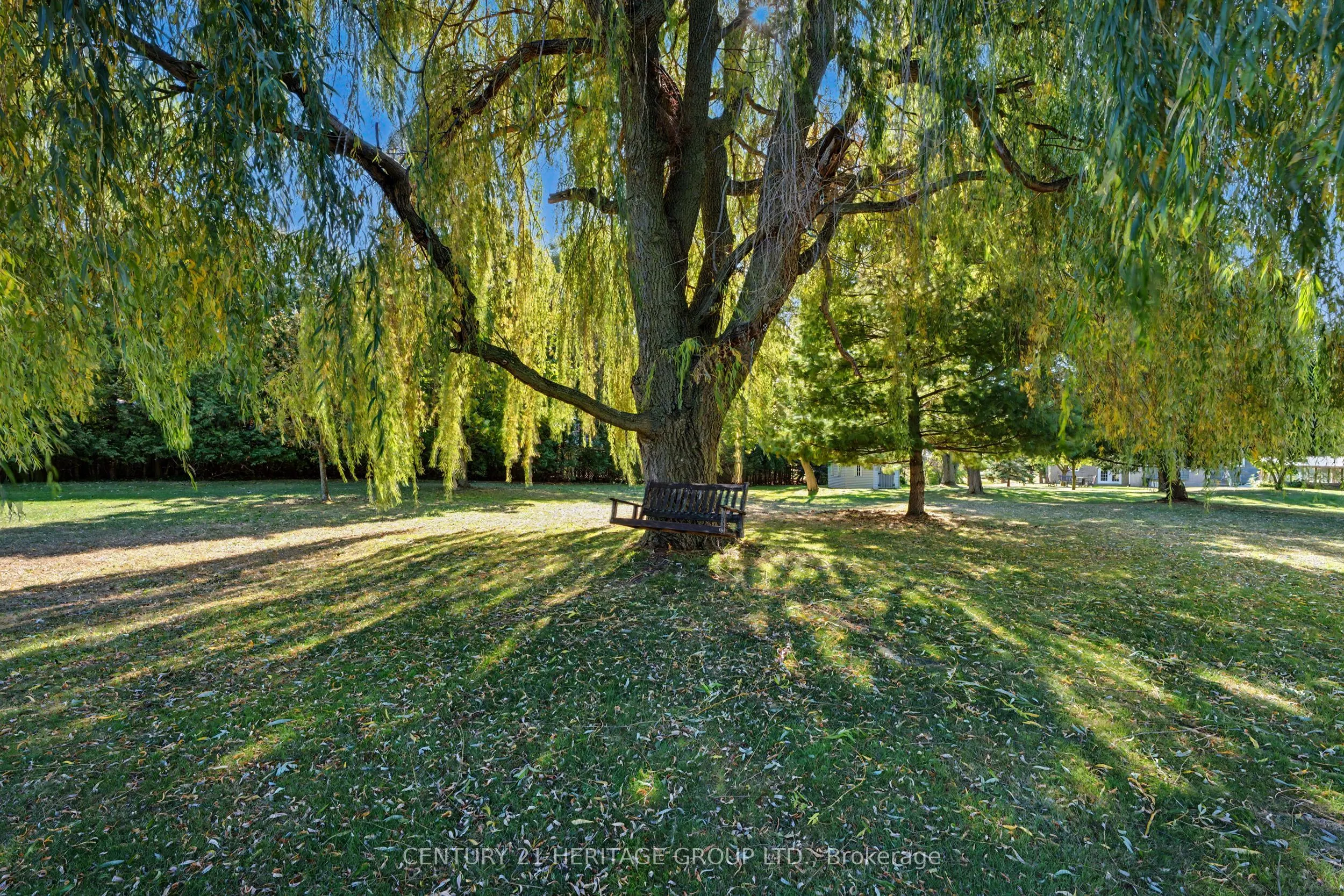 390 Sydenham Road