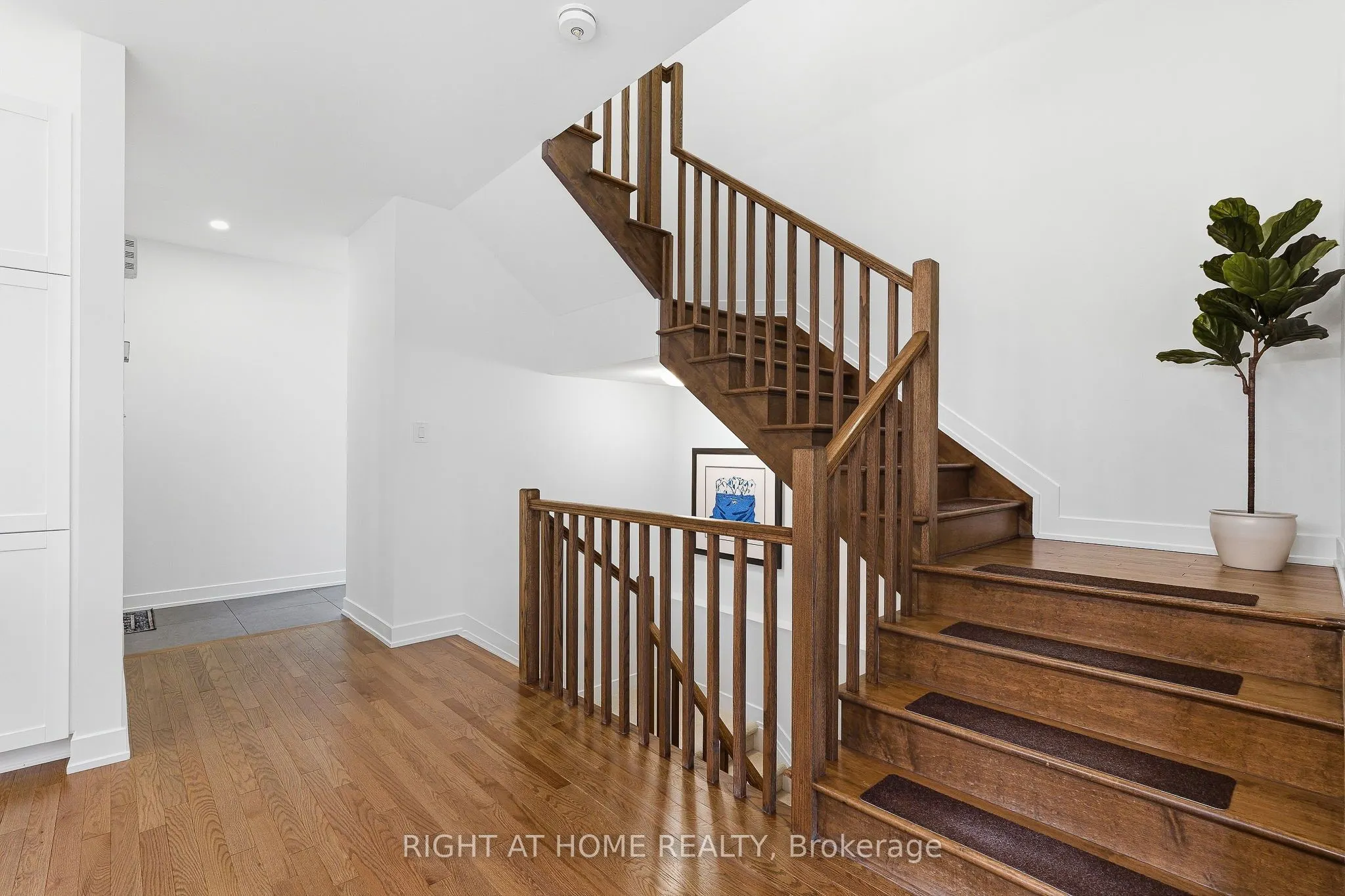 310 Chamomile Way
