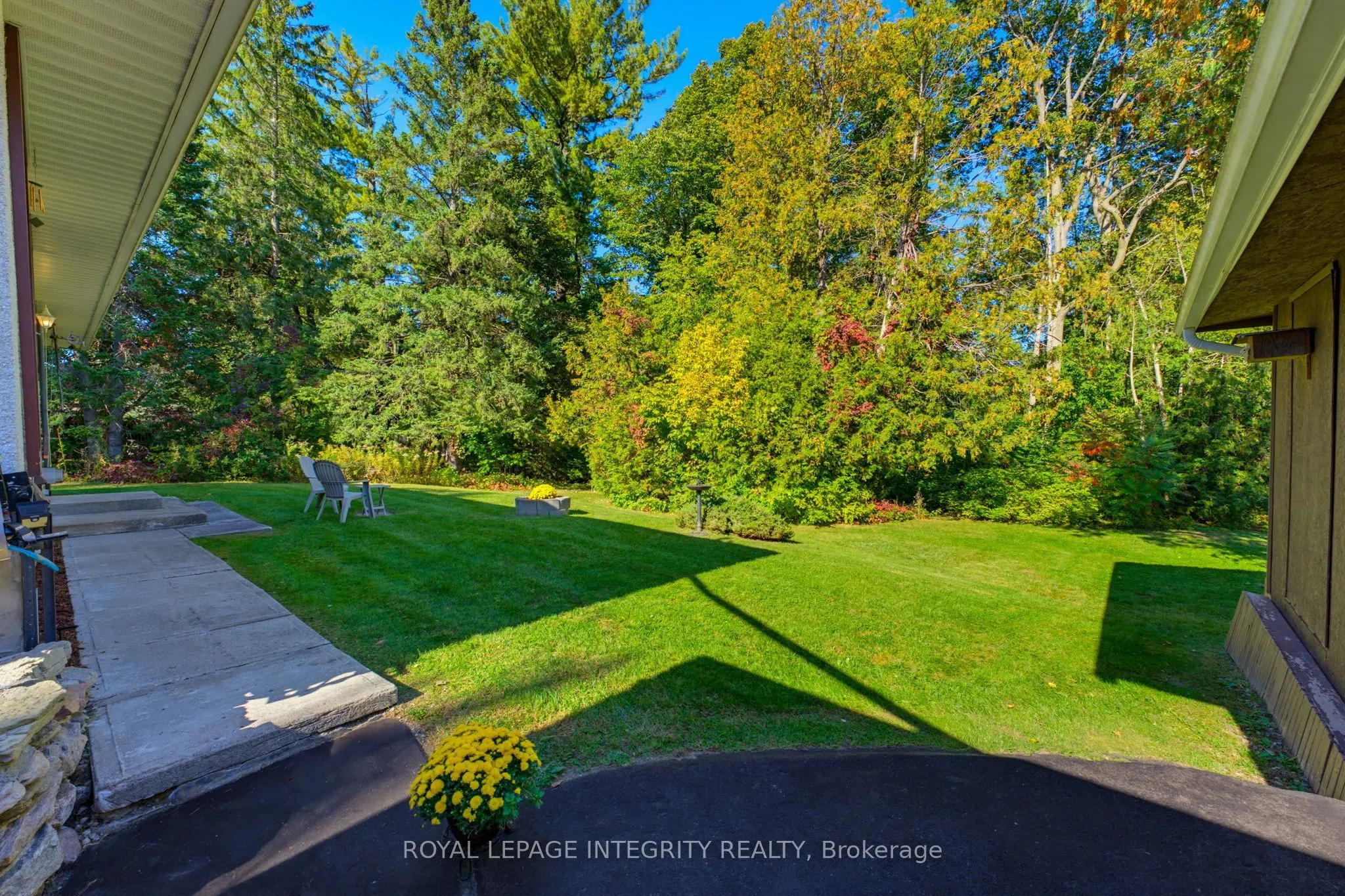 31 Basswood Avenue