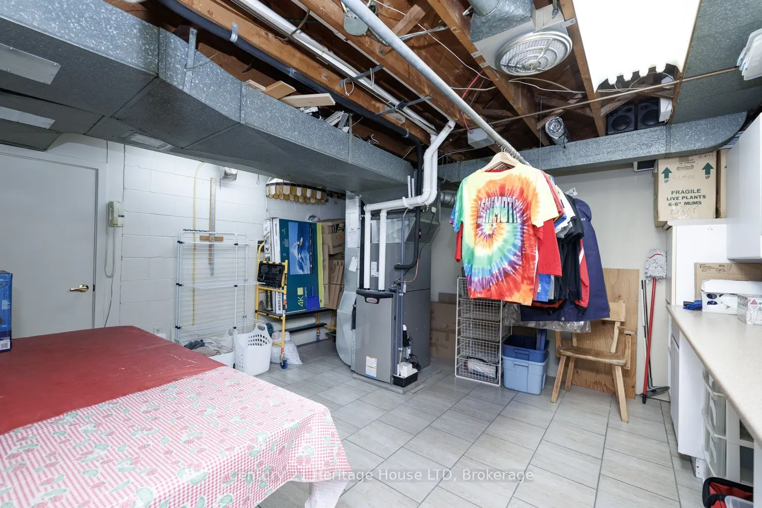 5159 Shirley Avenue
