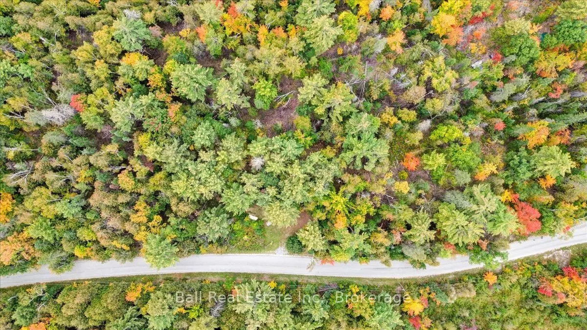 Coon Lake Road