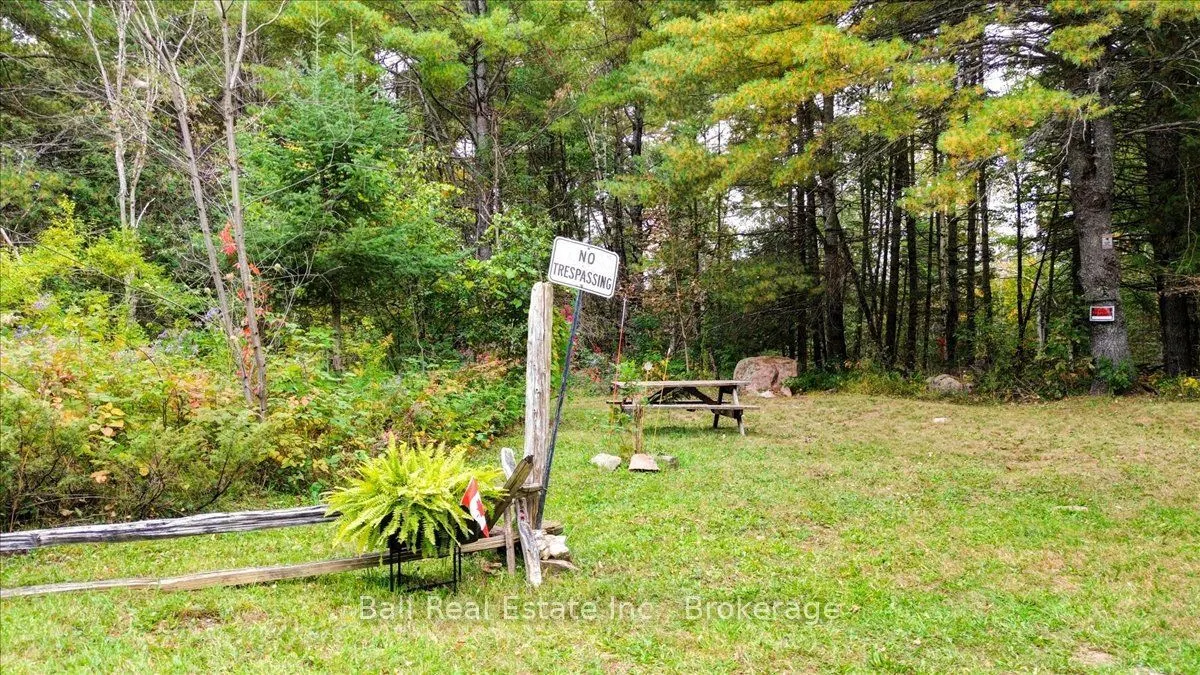 Coon Lake Road