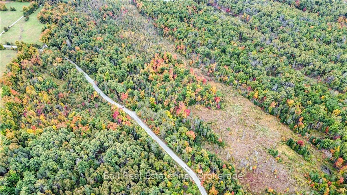 Coon Lake Road