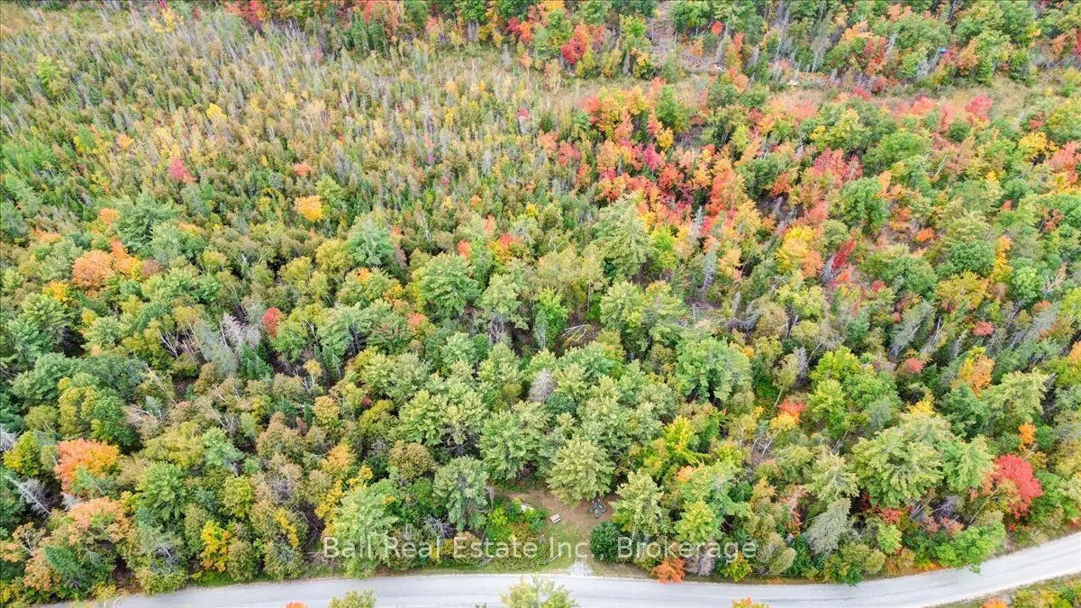 Coon Lake Road