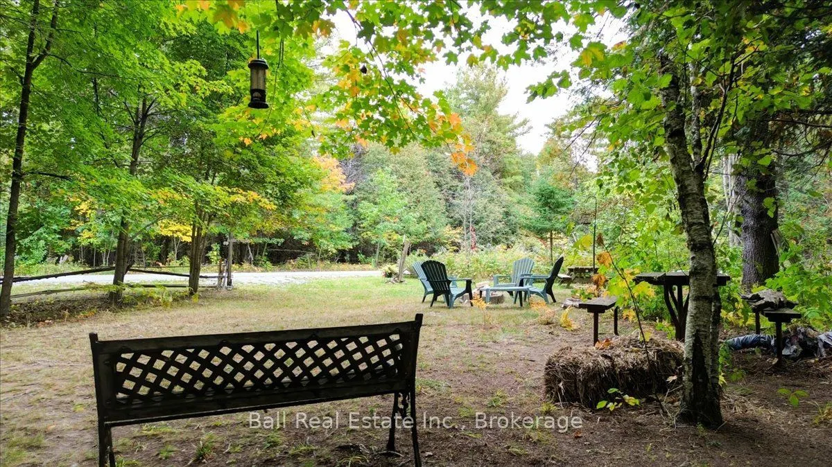 Coon Lake Road