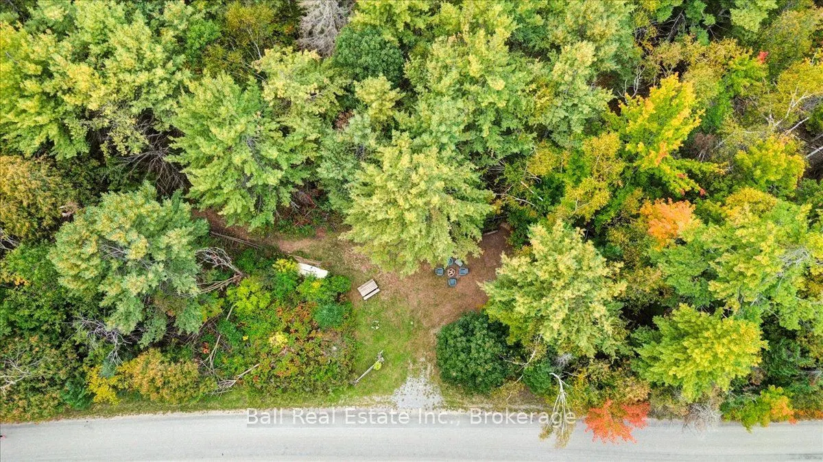 Coon Lake Road