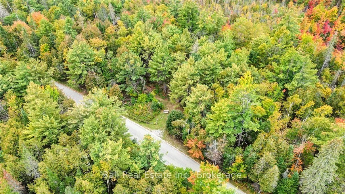 Coon Lake Road