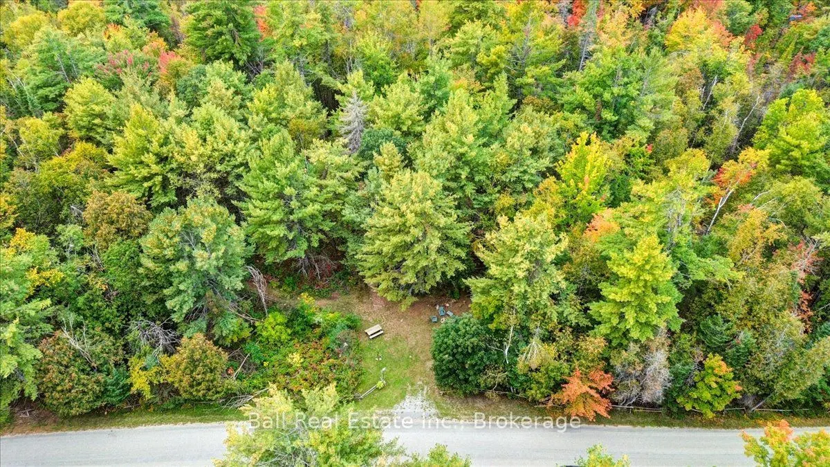 Coon Lake Road