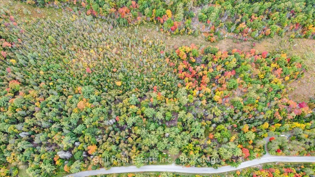 Coon Lake Road
