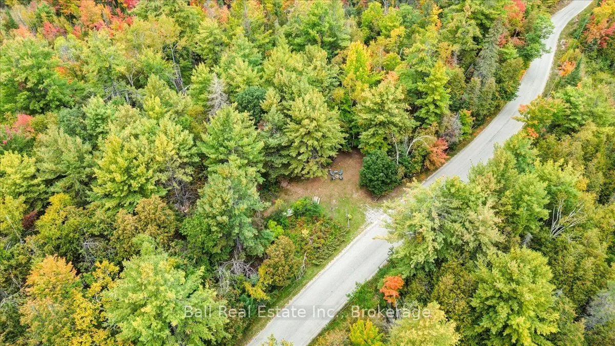 Coon Lake Road