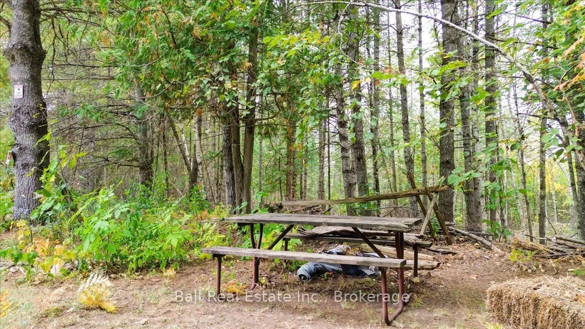 Coon Lake Road