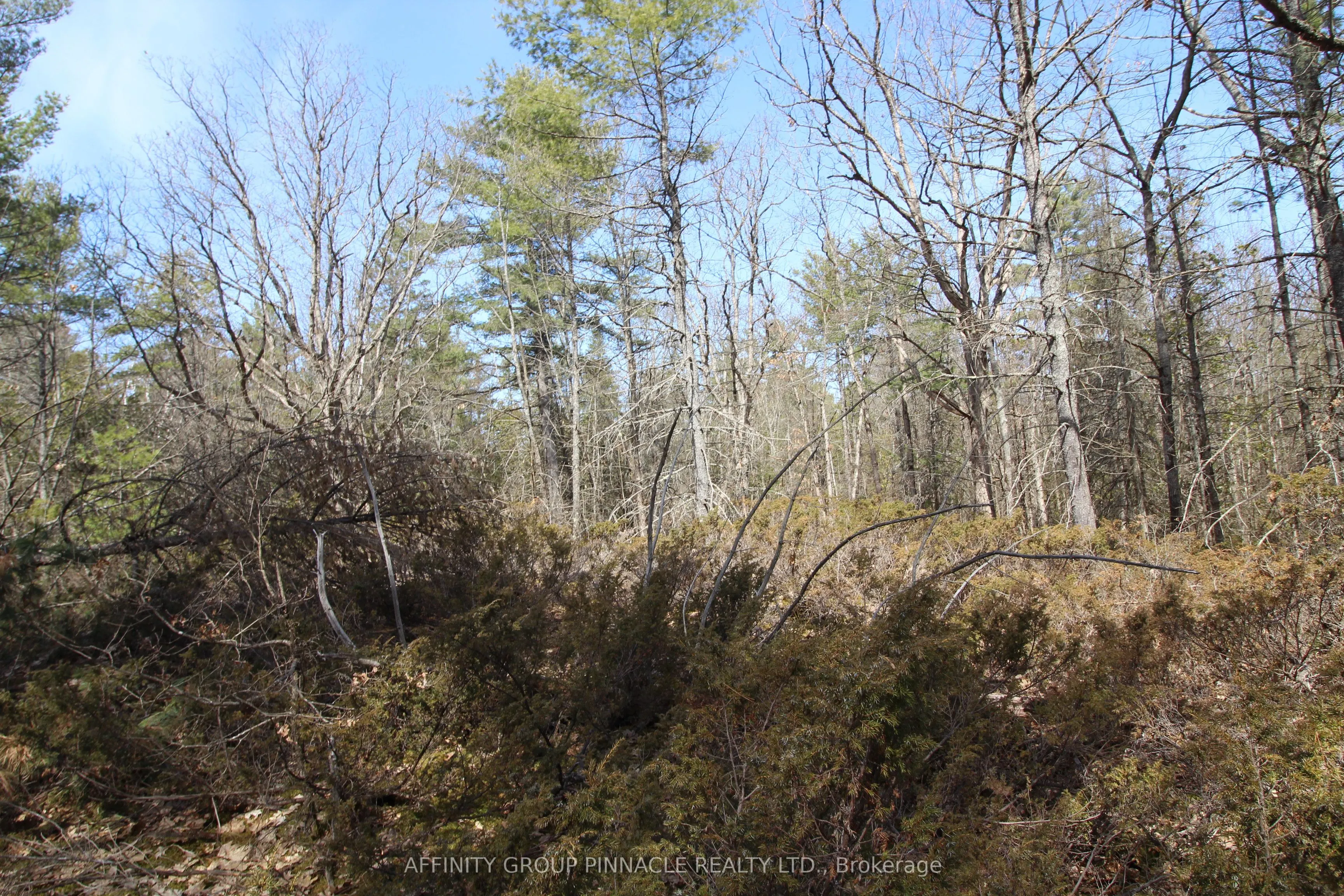 LOT 15 Concession 9