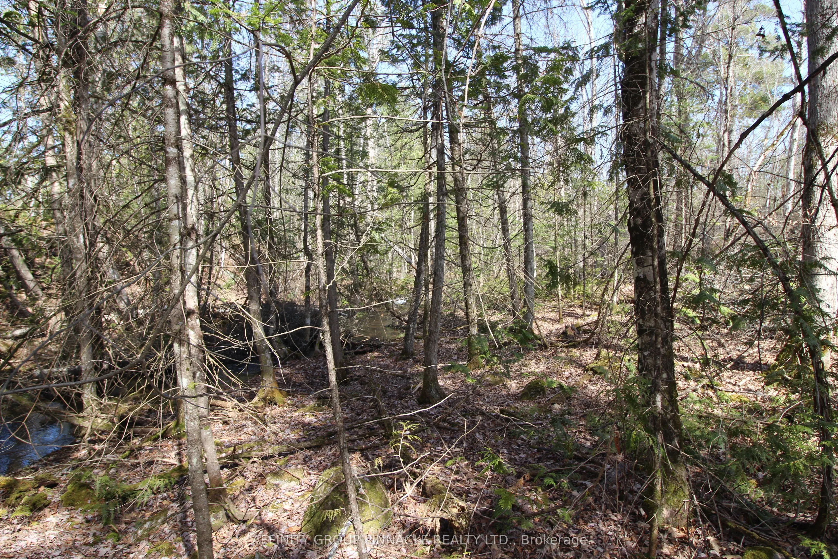 LOT 15 Concession 9