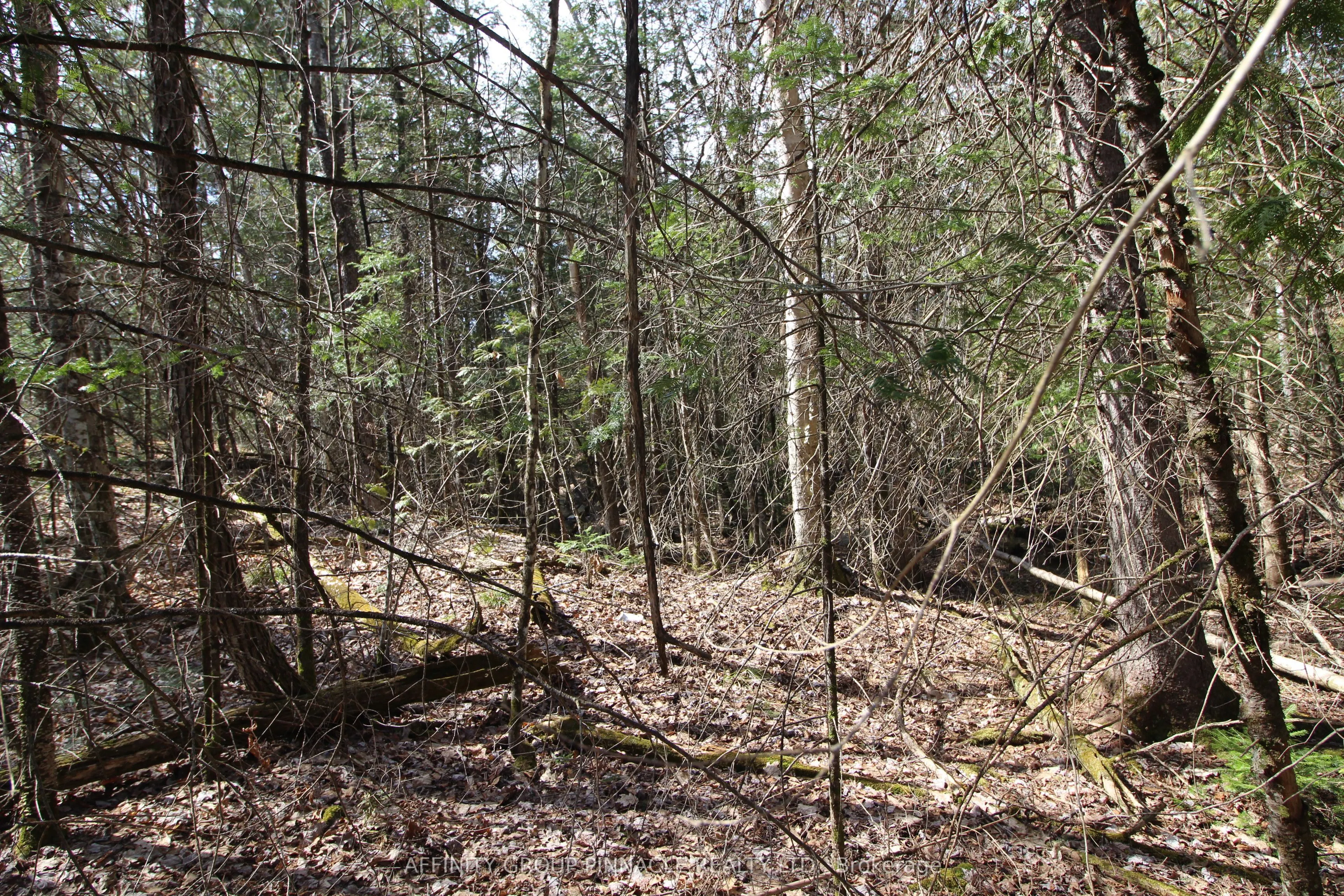 LOT 15 Concession 9