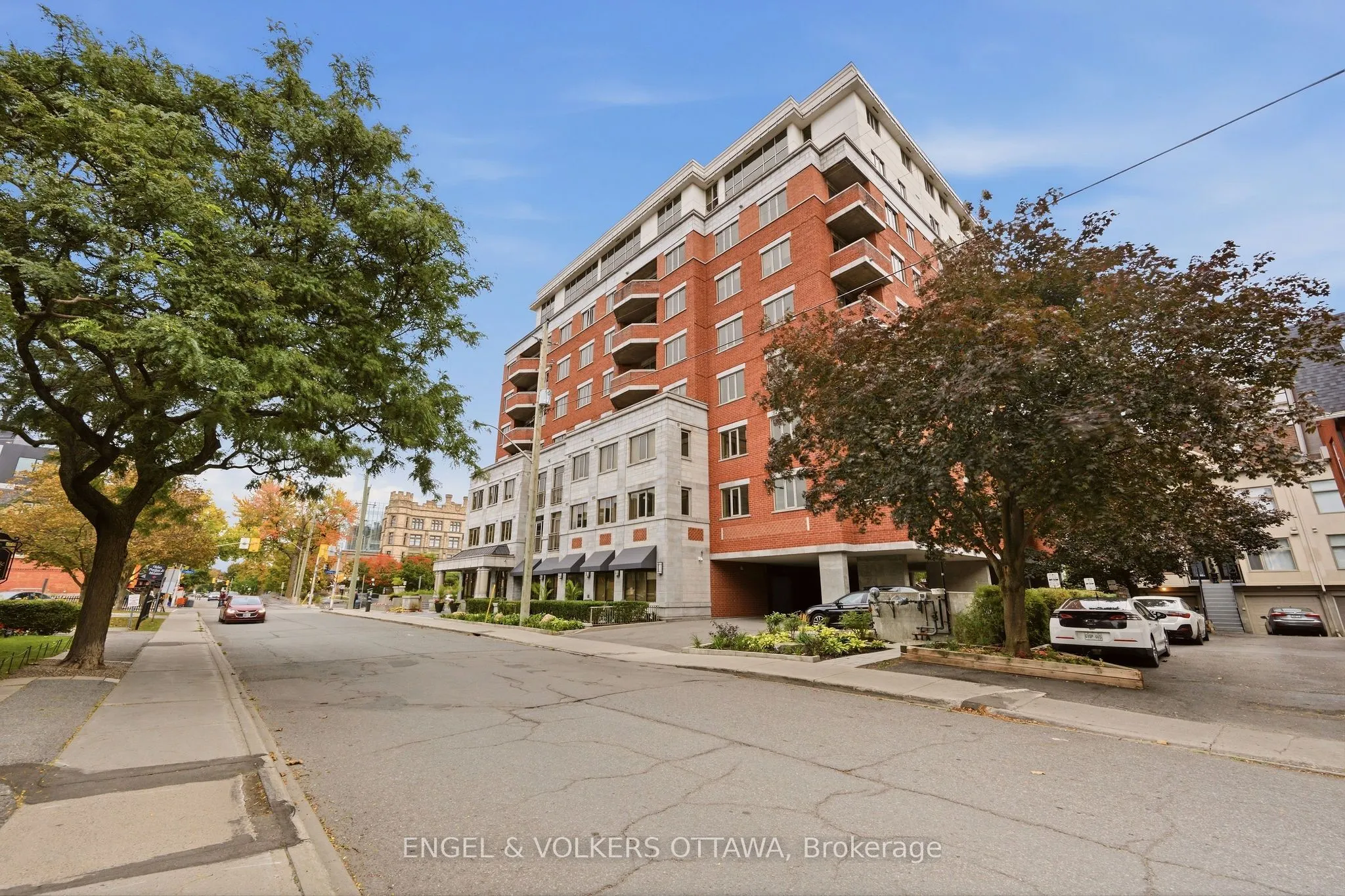 320 Mcleod Street #312