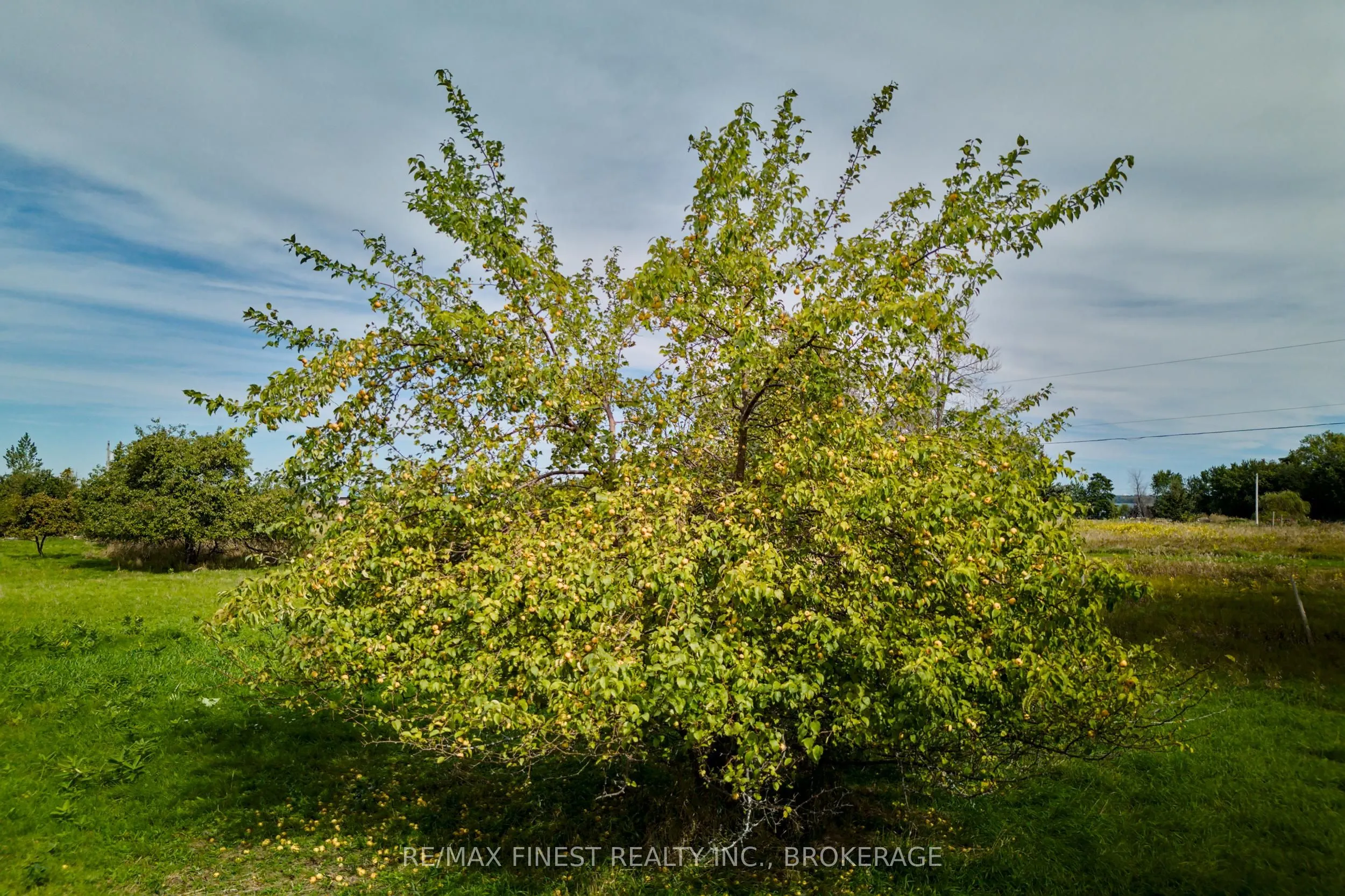 1600 Front Road