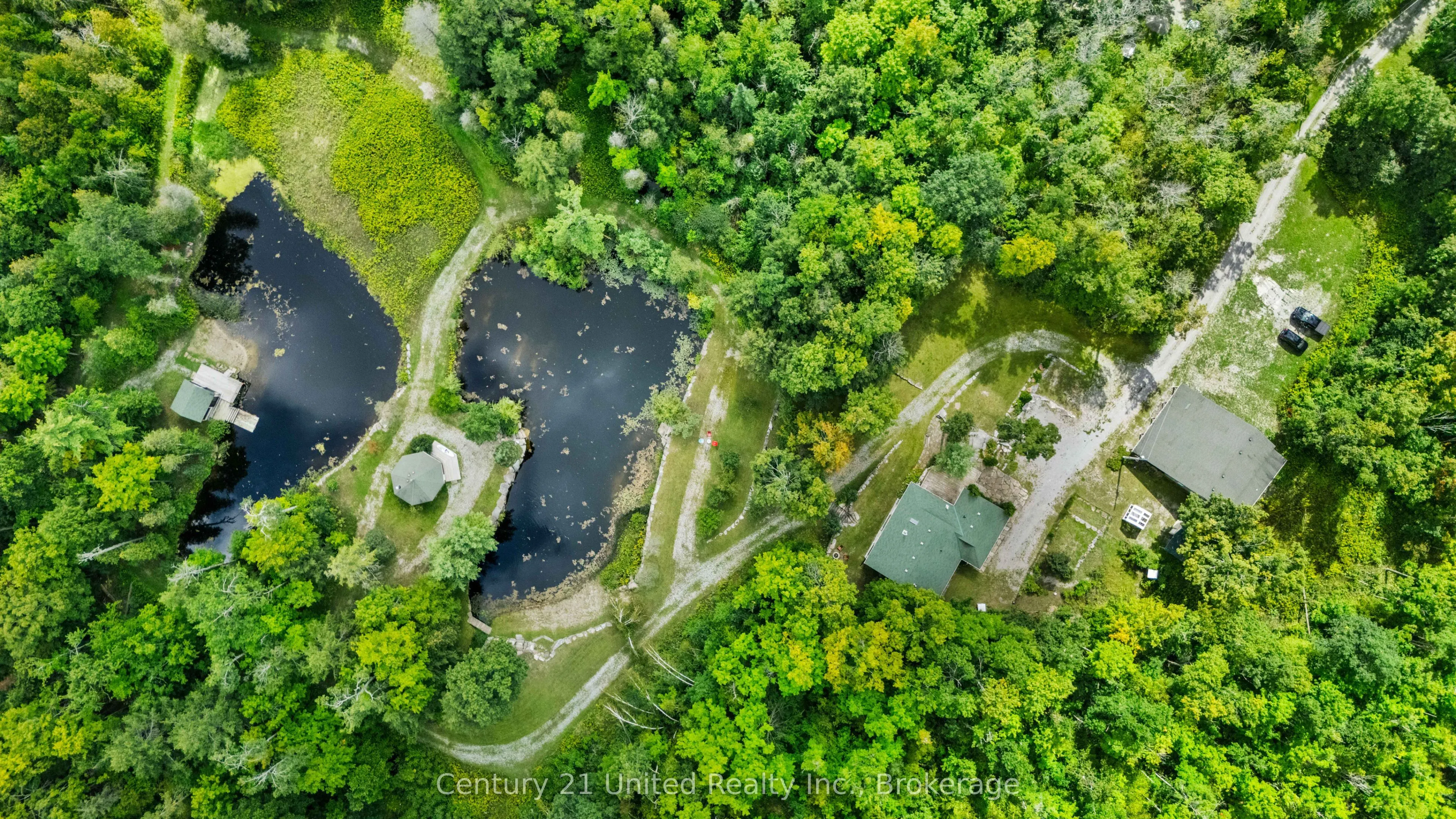 79 Oakridge Road