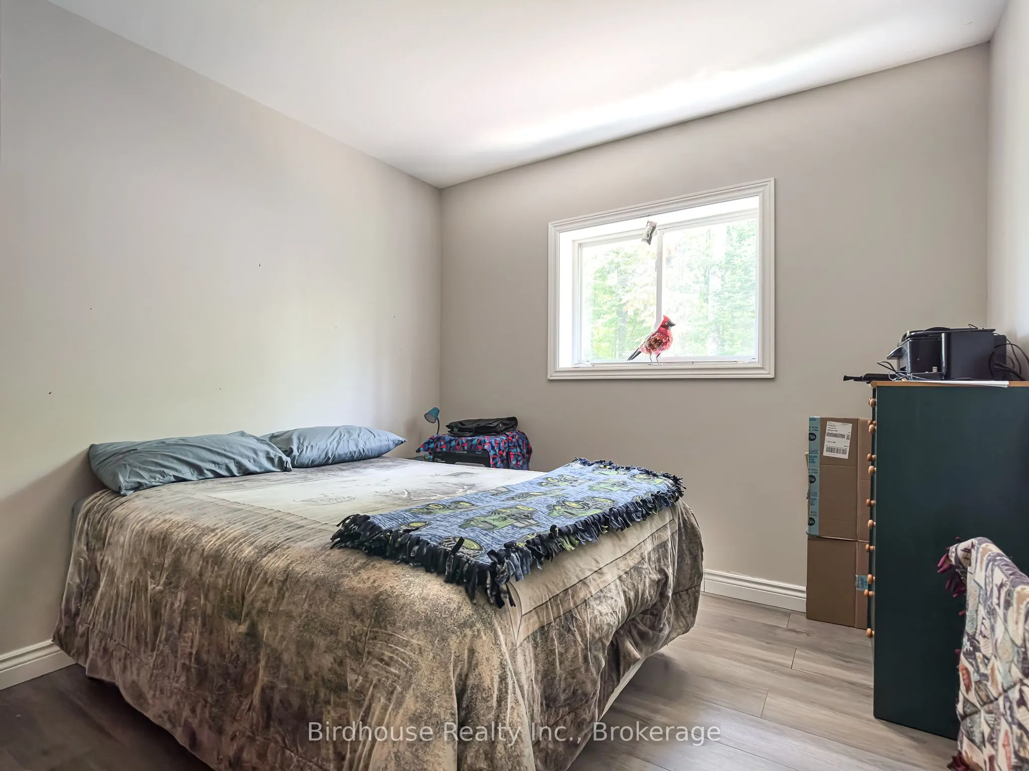 3399 Gelert Road